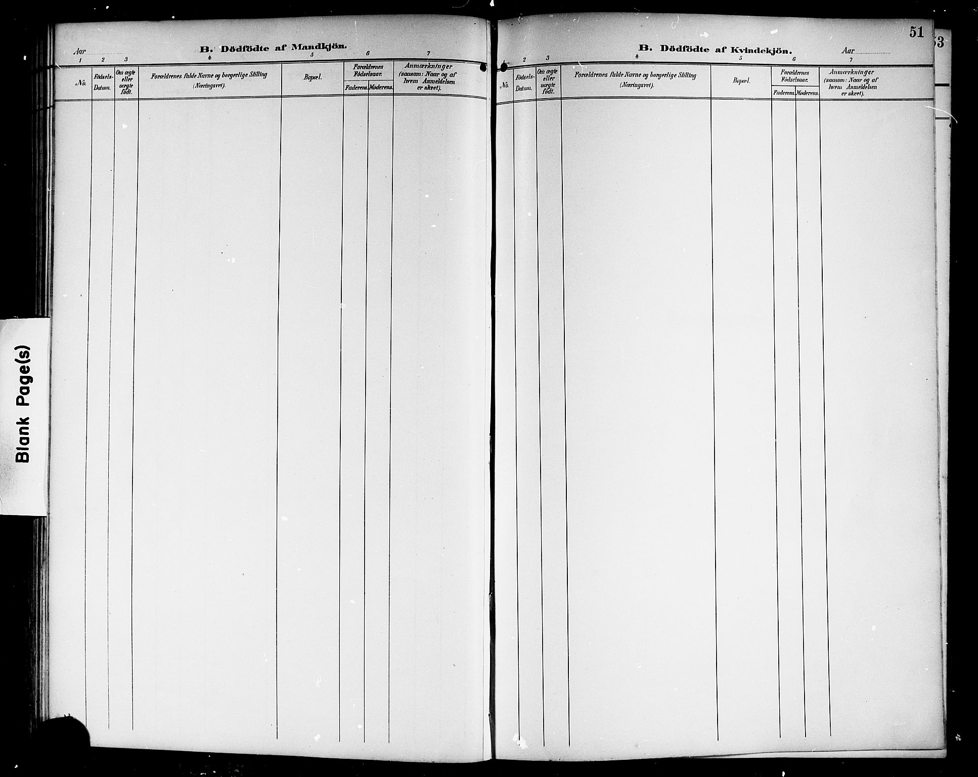 Lardal kirkebøker, AV/SAKO-A-350/G/Gc/L0002: Parish register (copy) no. III 2, 1894-1918, p. 51