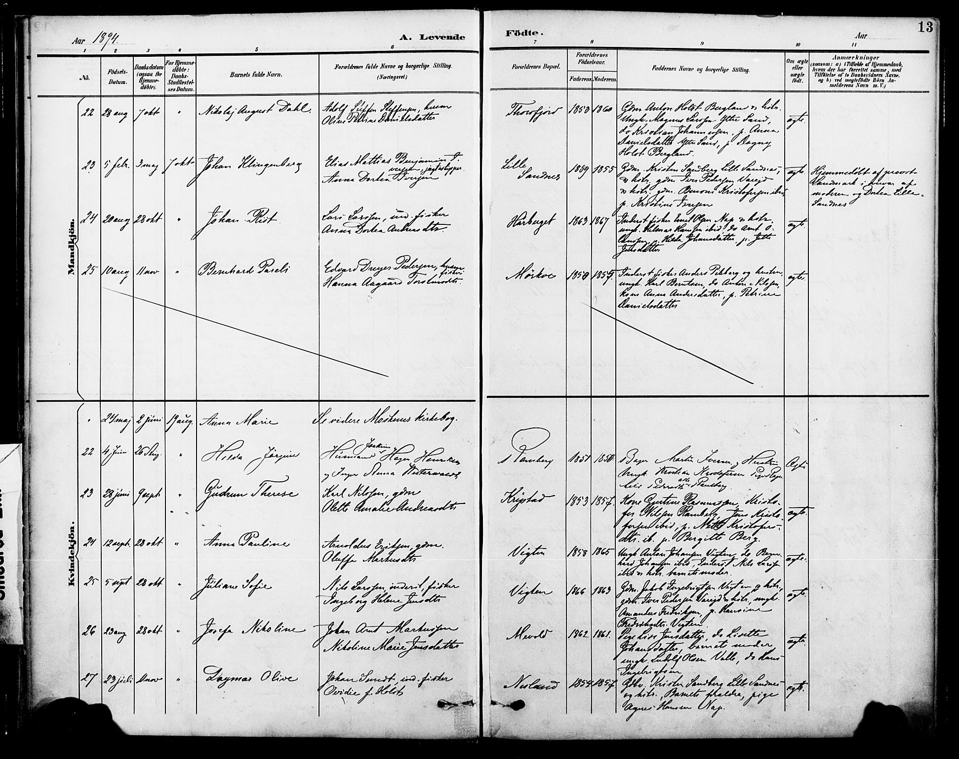 Ministerialprotokoller, klokkerbøker og fødselsregistre - Nordland, AV/SAT-A-1459/885/L1205: Parish register (official) no. 885A06, 1892-1905, p. 13