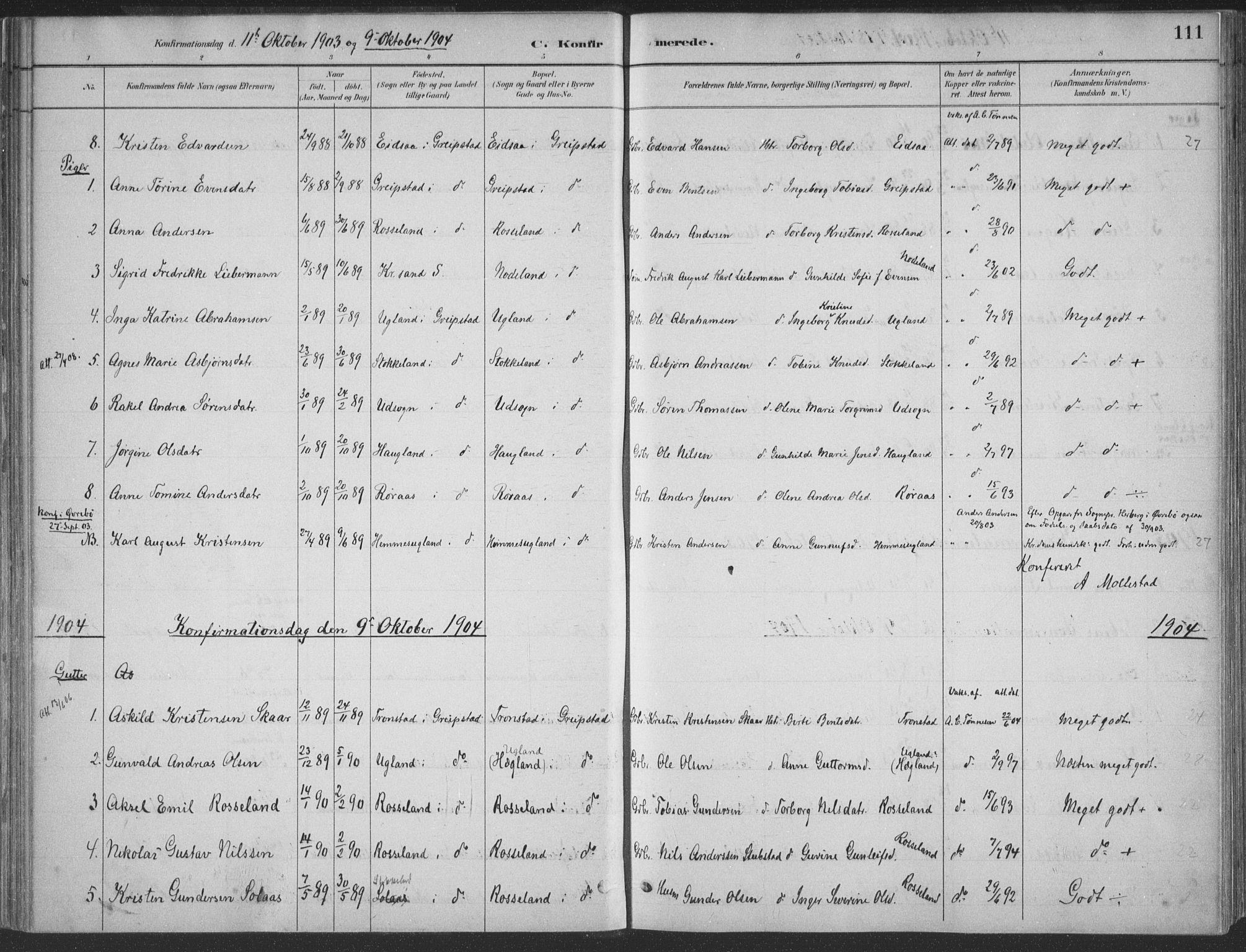Søgne sokneprestkontor, SAK/1111-0037/F/Fa/Faa/L0003: Parish register (official) no. A 3, 1883-1910, p. 111