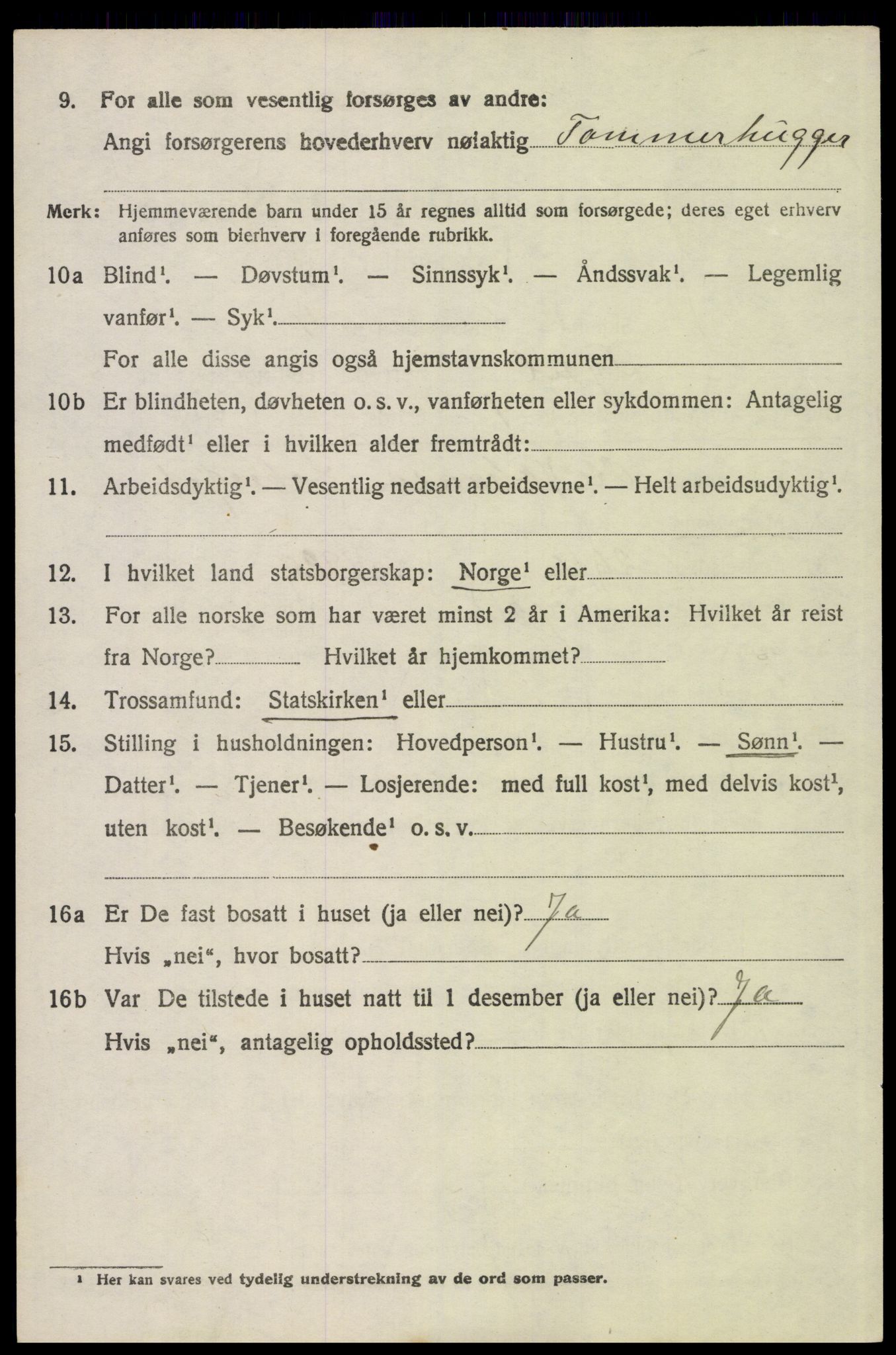 SAH, 1920 census for Trysil, 1920, p. 6228