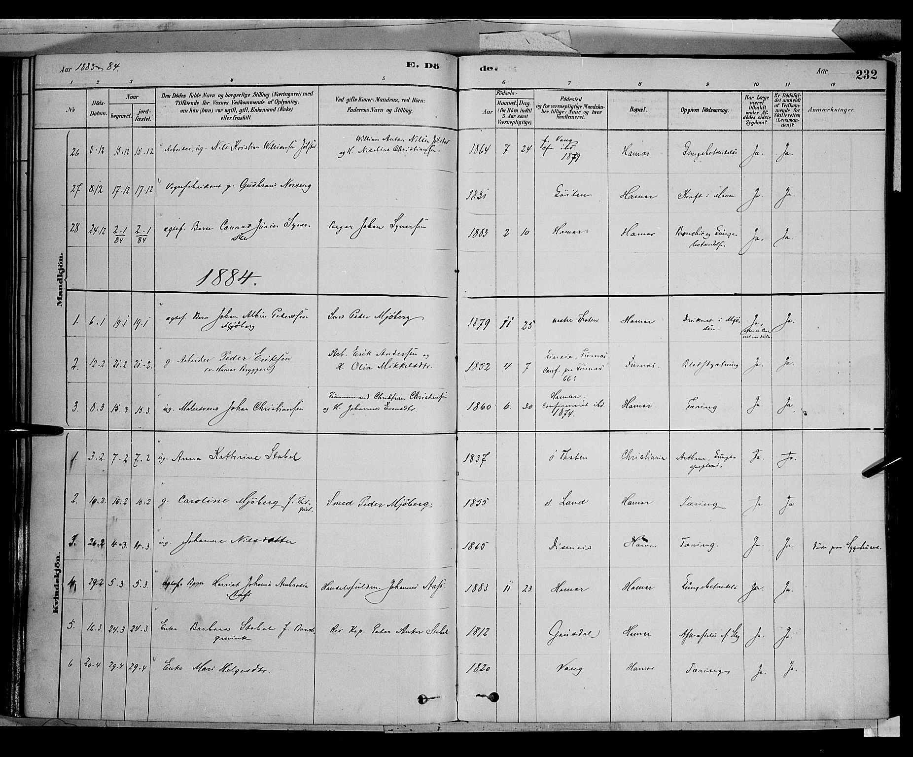 Vang prestekontor, Hedmark, SAH/PREST-008/H/Ha/Haa/L0016: Parish register (official) no. 16, 1878-1889, p. 232