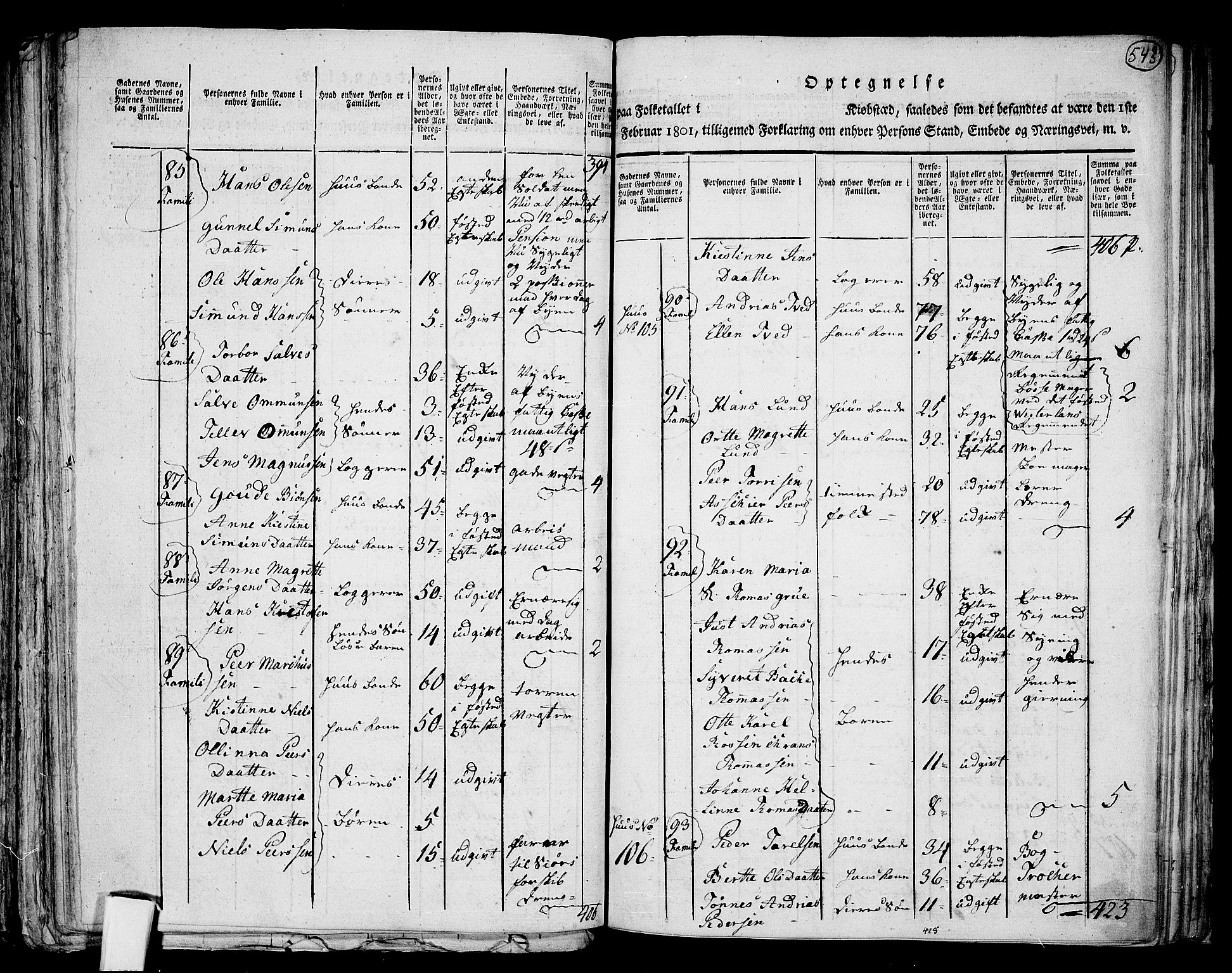 RA, 1801 census for 1001P Kristiansand, 1801, p. 542b-543a