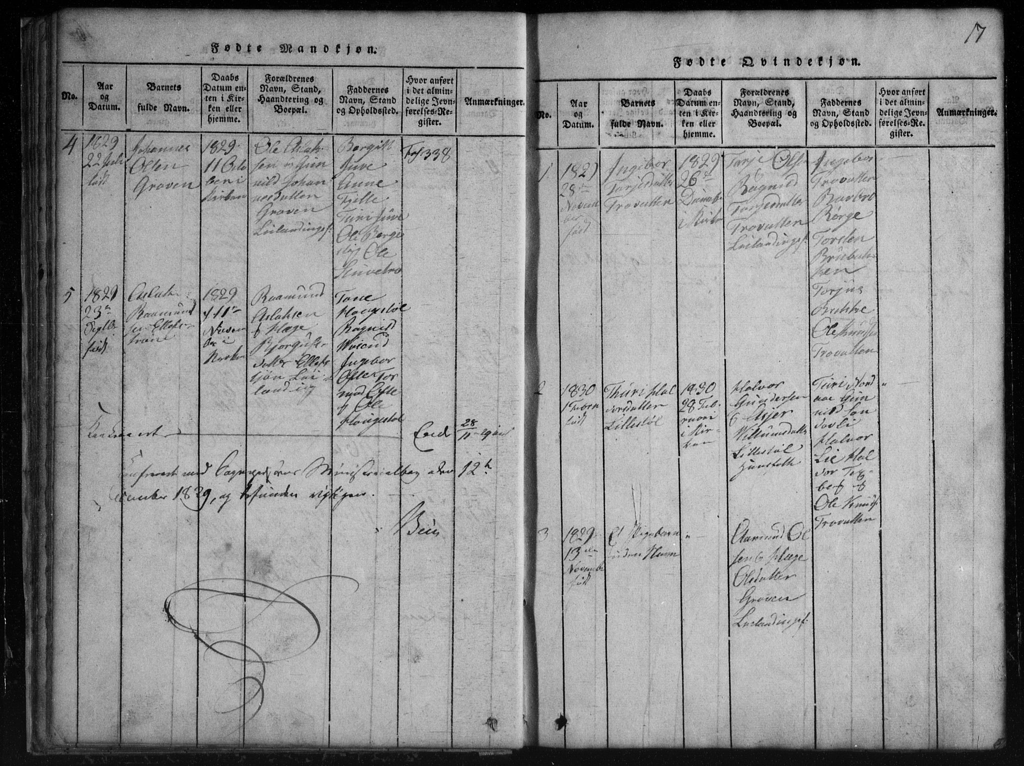 Rauland kirkebøker, SAKO/A-292/G/Gb/L0001: Parish register (copy) no. II 1, 1815-1886, p. 17