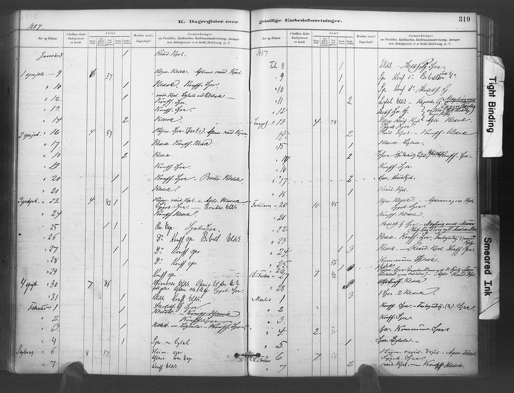 Kristiansand domprosti, AV/SAK-1112-0006/F/Fa/L0018: Parish register (official) no. A 17, 1880-1892, p. 319