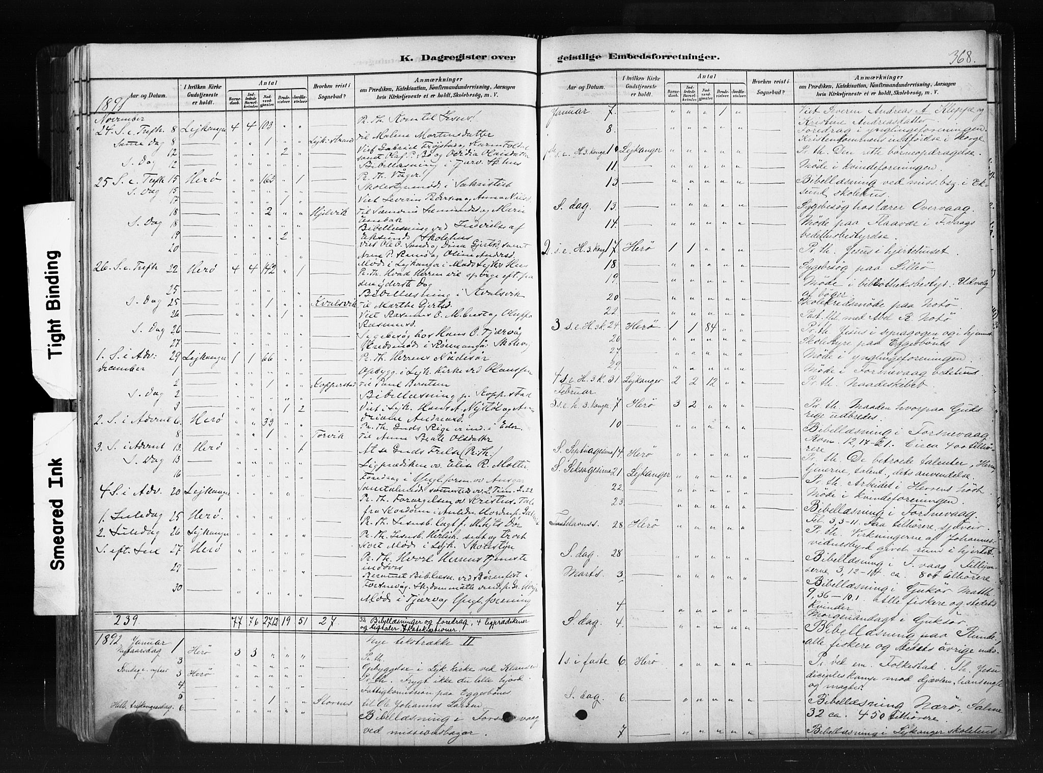 Ministerialprotokoller, klokkerbøker og fødselsregistre - Møre og Romsdal, SAT/A-1454/507/L0073: Parish register (official) no. 507A08, 1878-1904, p. 368