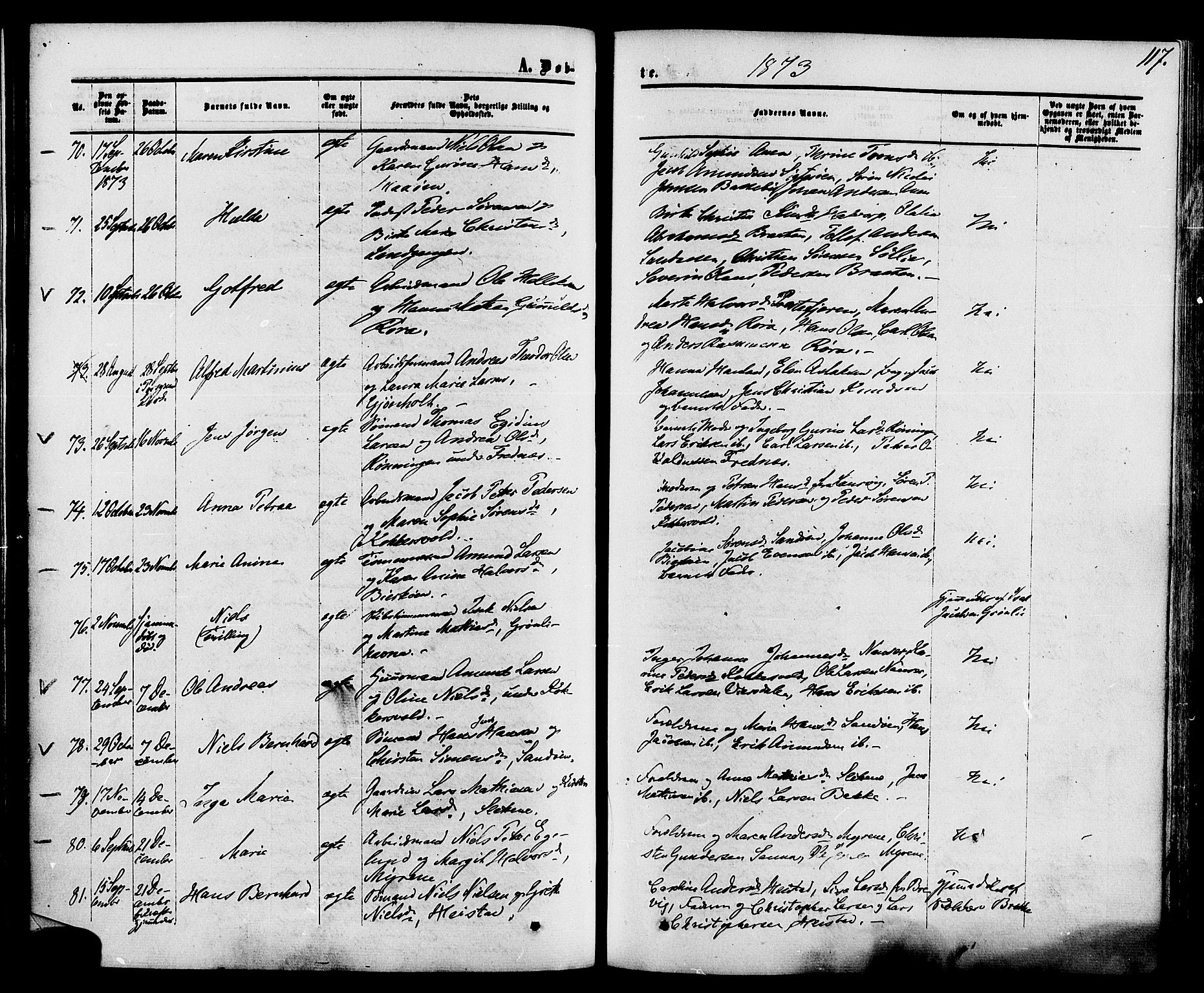 Eidanger kirkebøker, SAKO/A-261/F/Fa/L0010: Parish register (official) no. 10, 1859-1874, p. 117