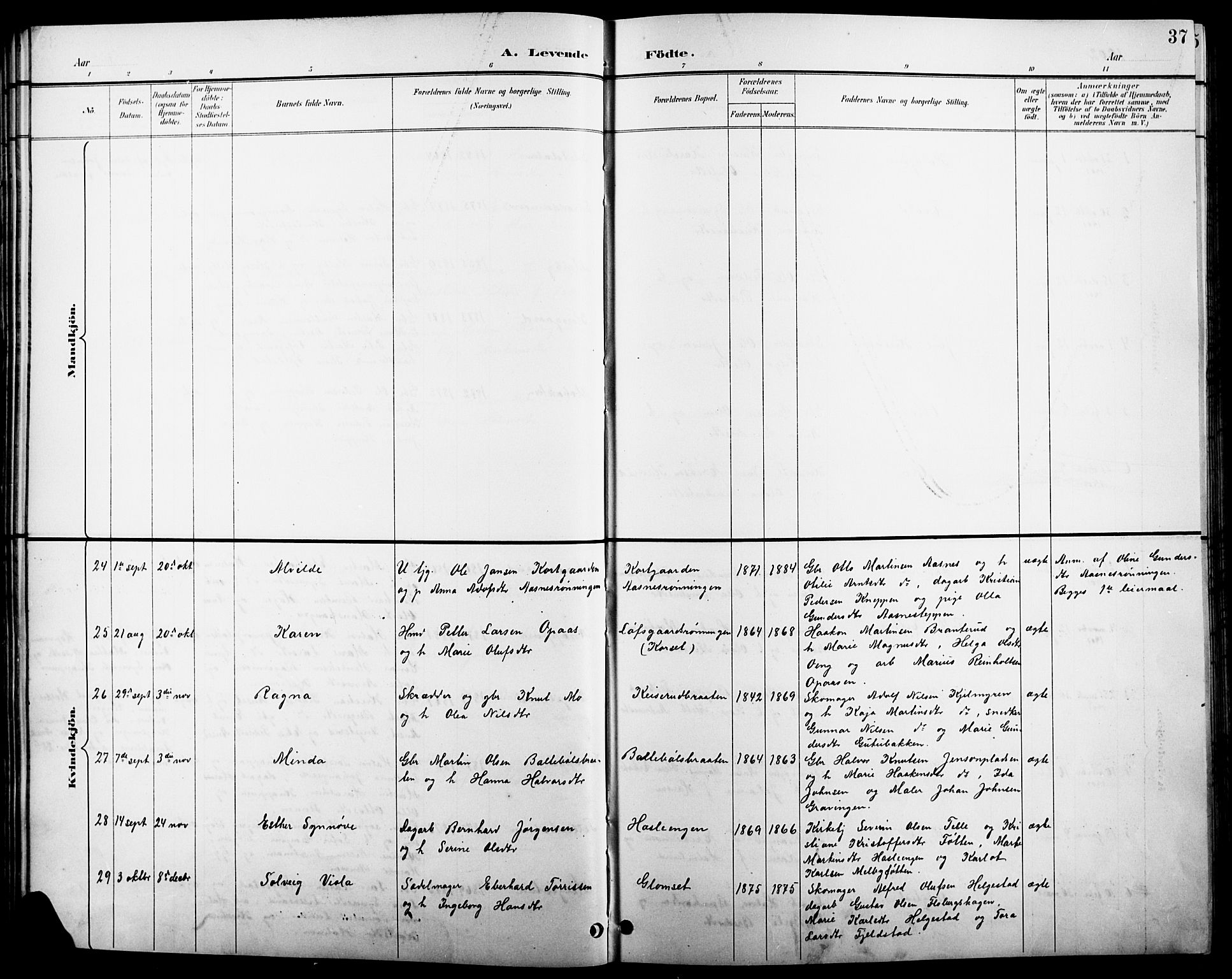 Åsnes prestekontor, SAH/PREST-042/H/Ha/Hab/L0004: Parish register (copy) no. 4, 1895-1909, p. 37