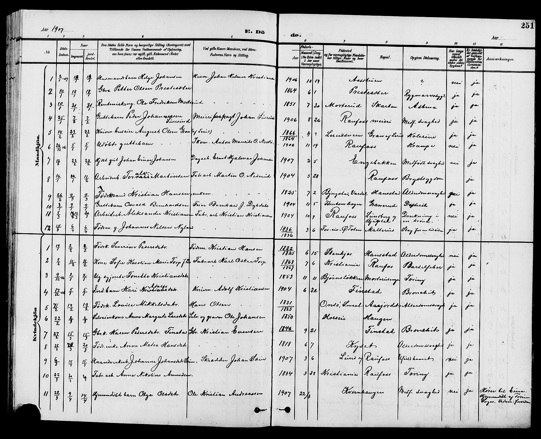 Vestre Toten prestekontor, SAH/PREST-108/H/Ha/Hab/L0010: Parish register (copy) no. 10, 1900-1912, p. 251