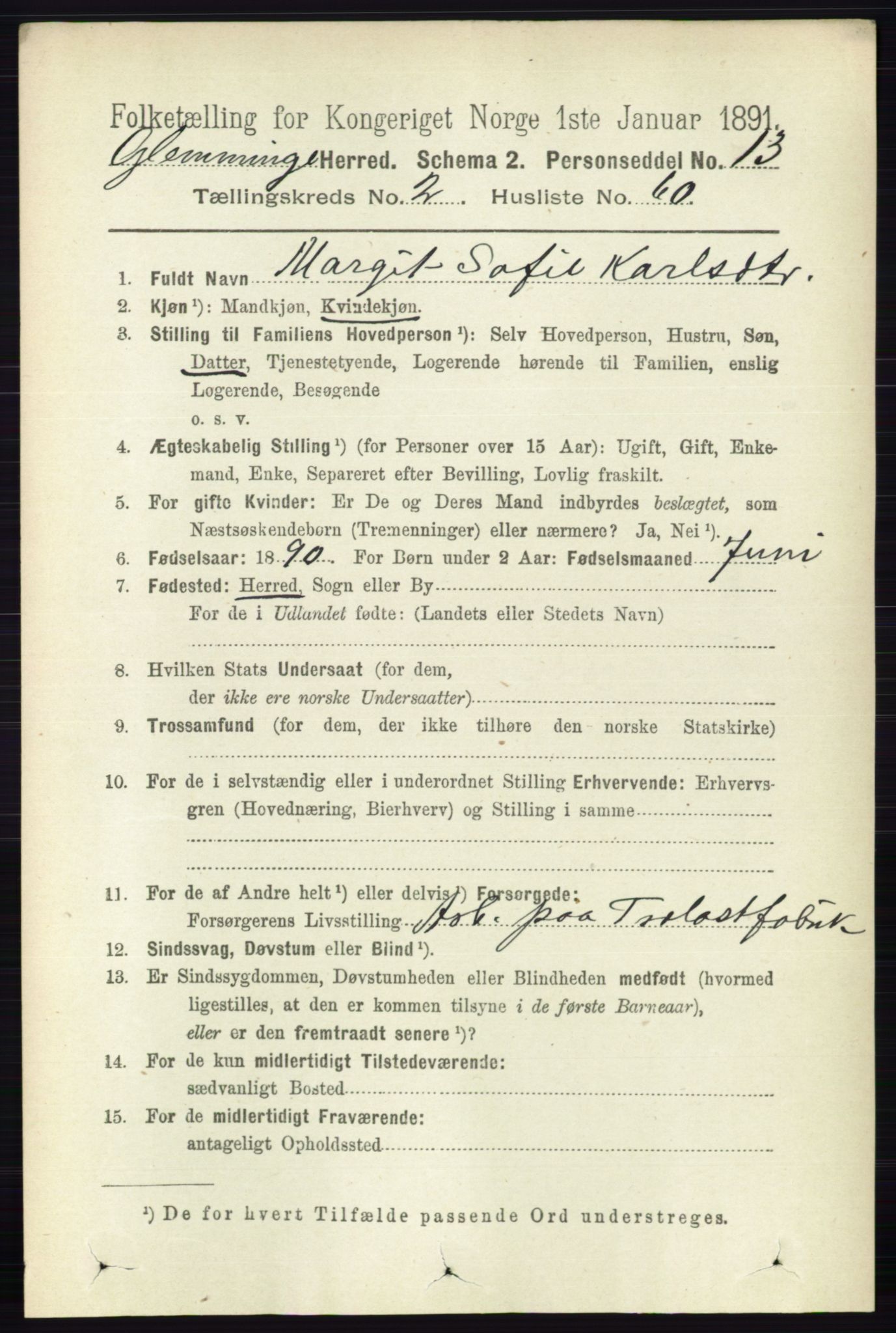 RA, 1891 census for 0132 Glemmen, 1891, p. 1041