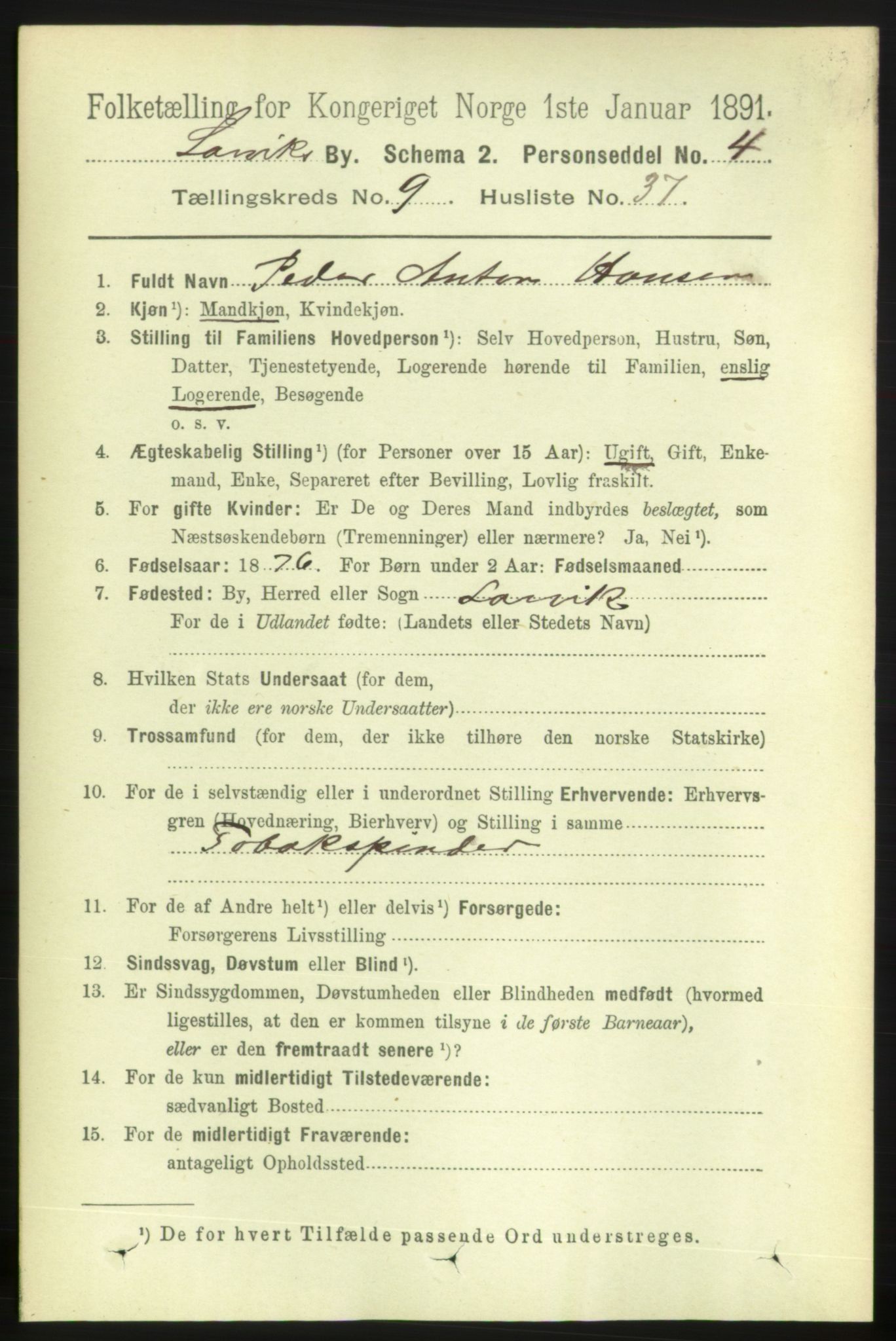 RA, 1891 census for 0707 Larvik, 1891, p. 8862