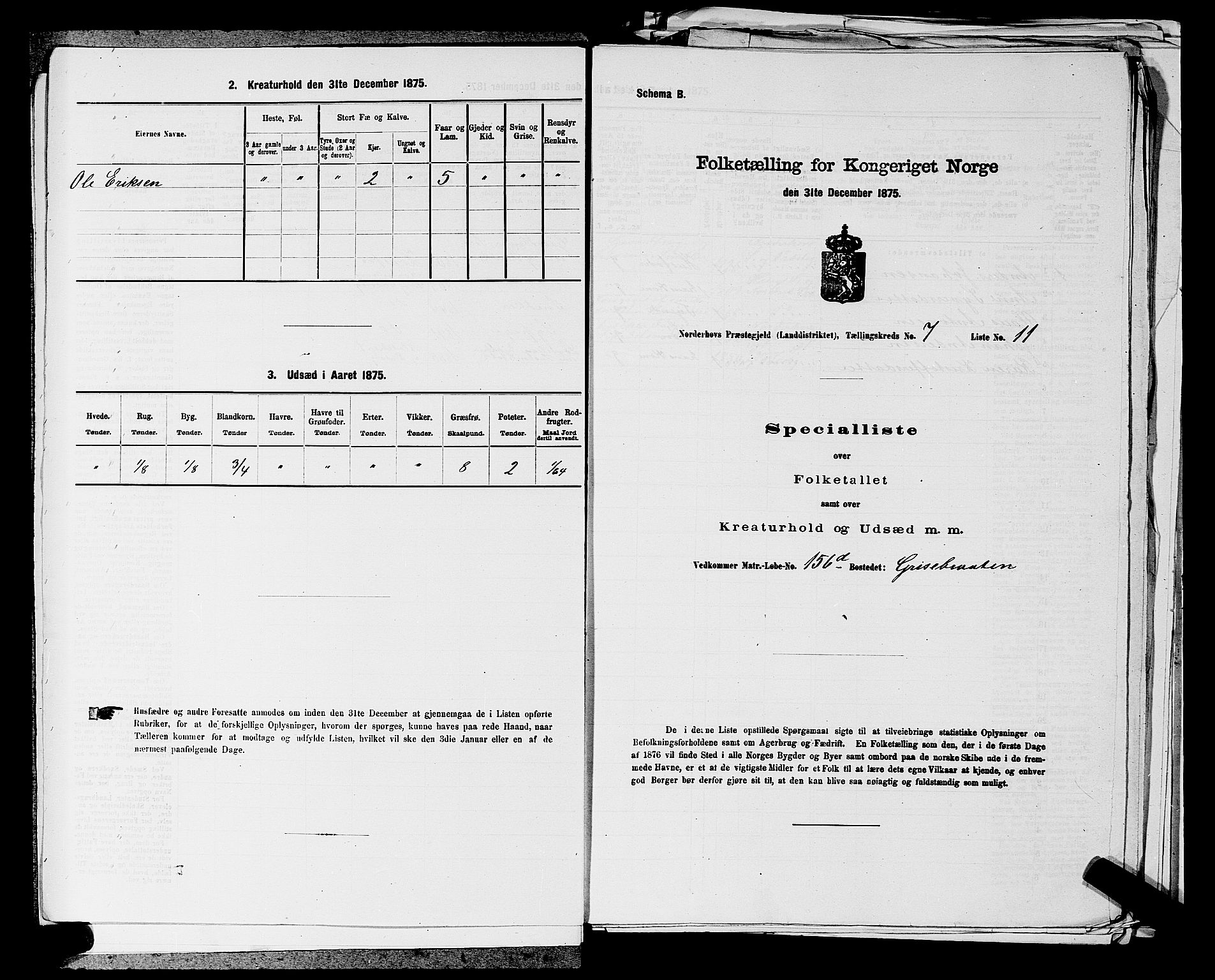 SAKO, 1875 census for 0613L Norderhov/Norderhov, Haug og Lunder, 1875, p. 1474