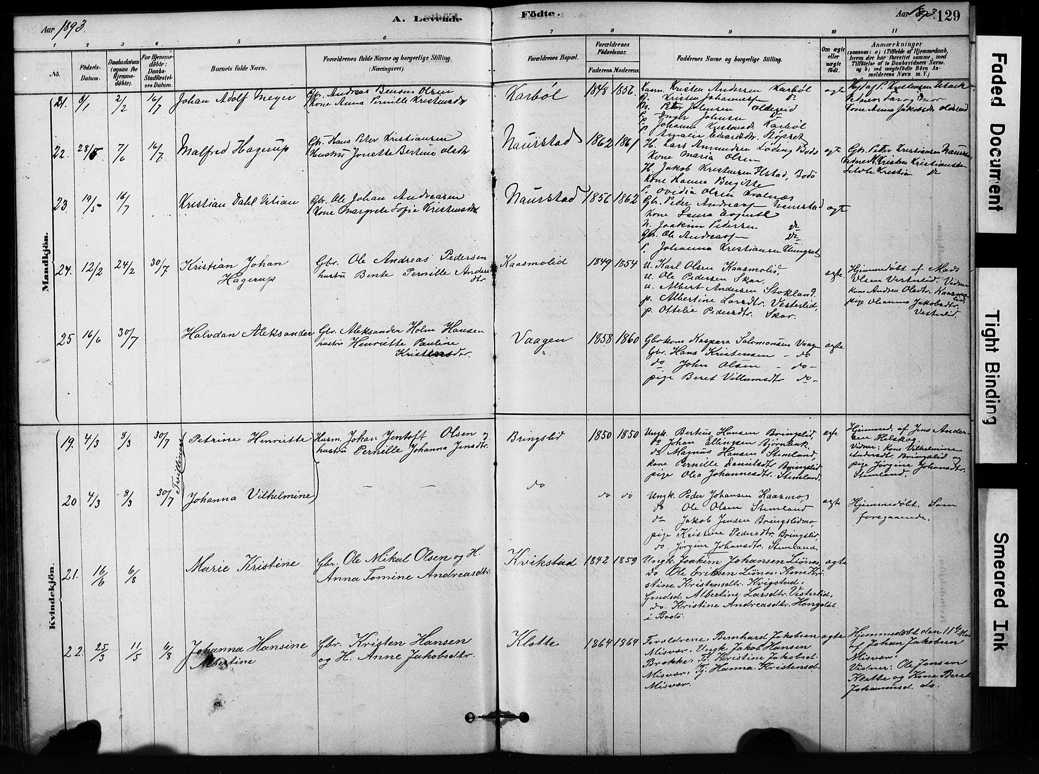 Ministerialprotokoller, klokkerbøker og fødselsregistre - Nordland, AV/SAT-A-1459/852/L0754: Parish register (copy) no. 852C05, 1878-1894, p. 129