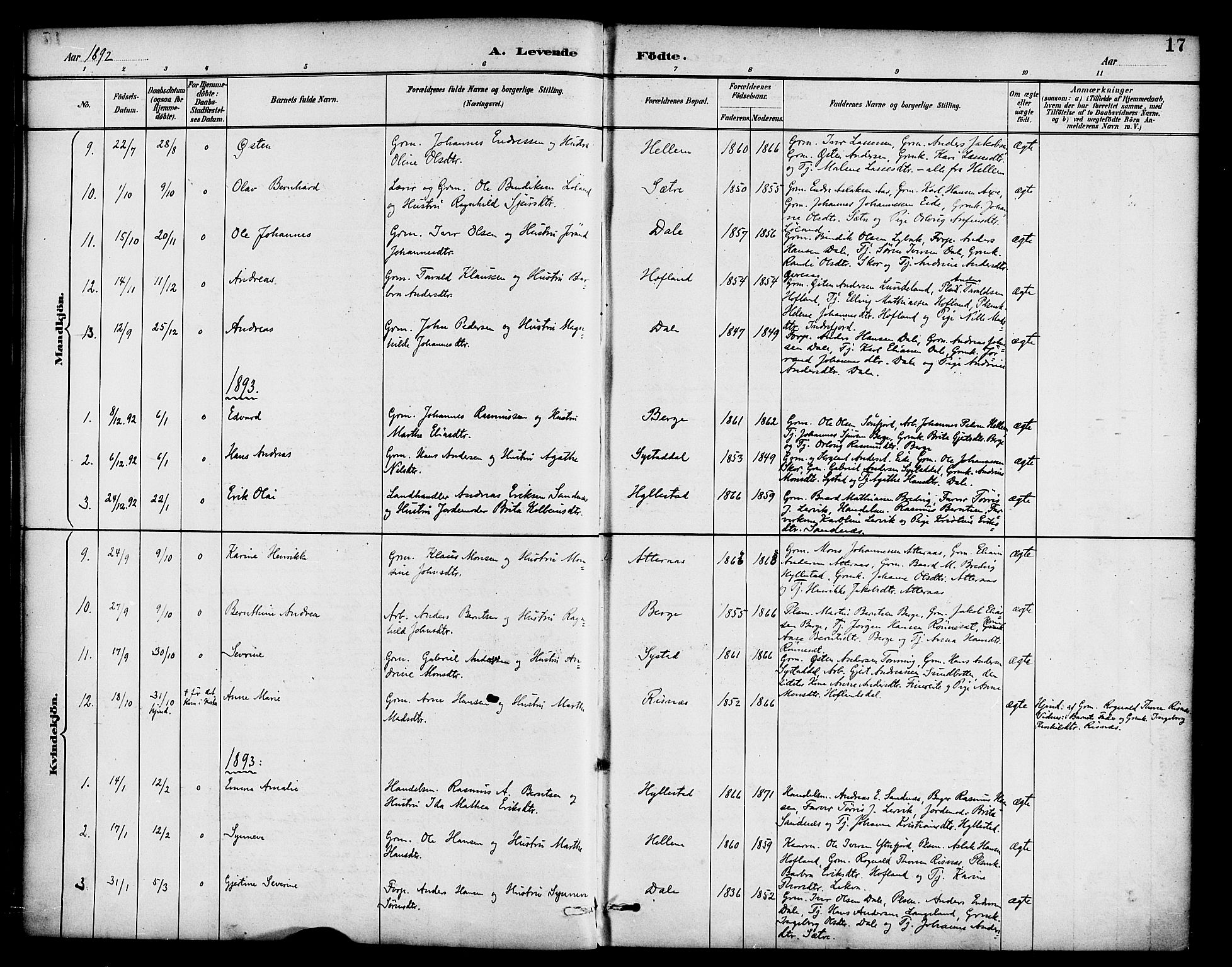 Hyllestad sokneprestembete, AV/SAB-A-80401: Parish register (official) no. B 1, 1886-1904, p. 17