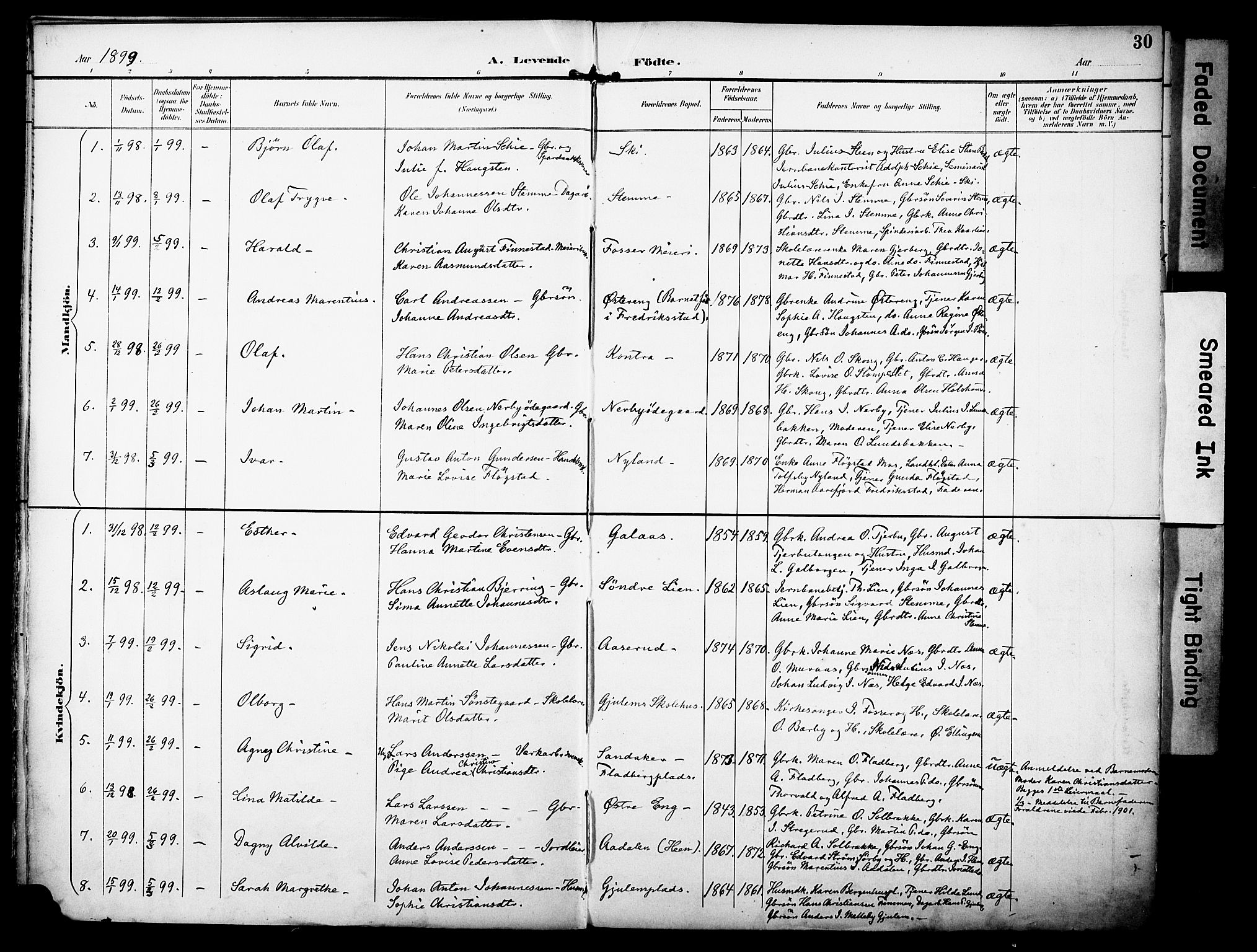 Rakkestad prestekontor Kirkebøker, AV/SAO-A-2008/F/Fa/L0013: Parish register (official) no. I 13, 1894-1908, p. 30