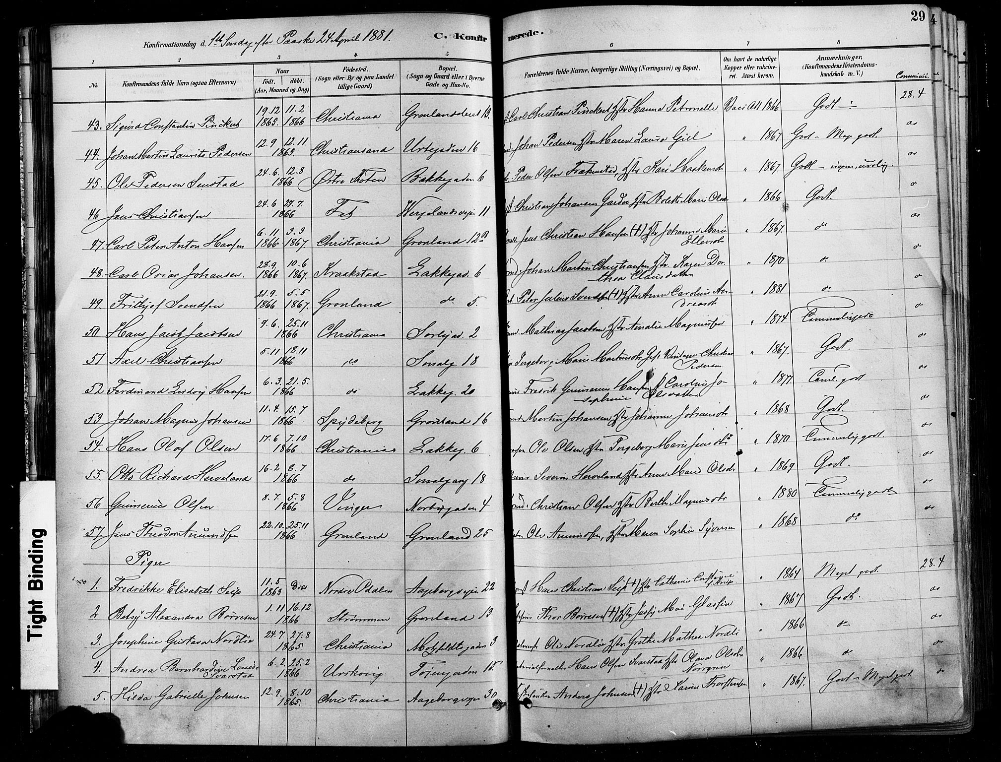 Grønland prestekontor Kirkebøker, AV/SAO-A-10848/F/Fa/L0008: Parish register (official) no. 8, 1881-1893, p. 29