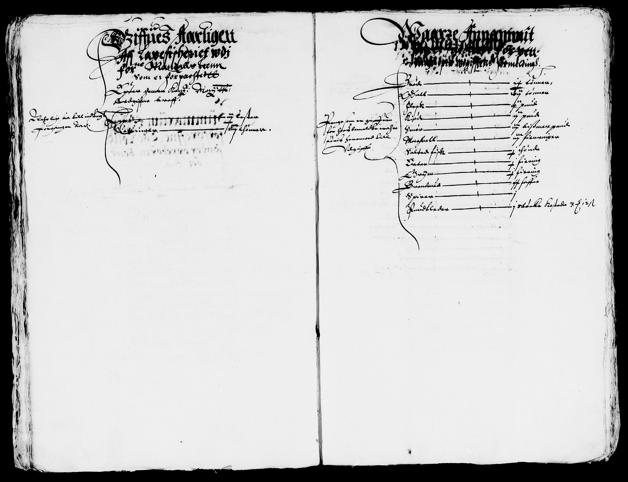 Rentekammeret inntil 1814, Reviderte regnskaper, Lensregnskaper, AV/RA-EA-5023/R/Rb/Rbq/L0017: Nedenes len. Mandals len. Råbyggelag., 1627-1629