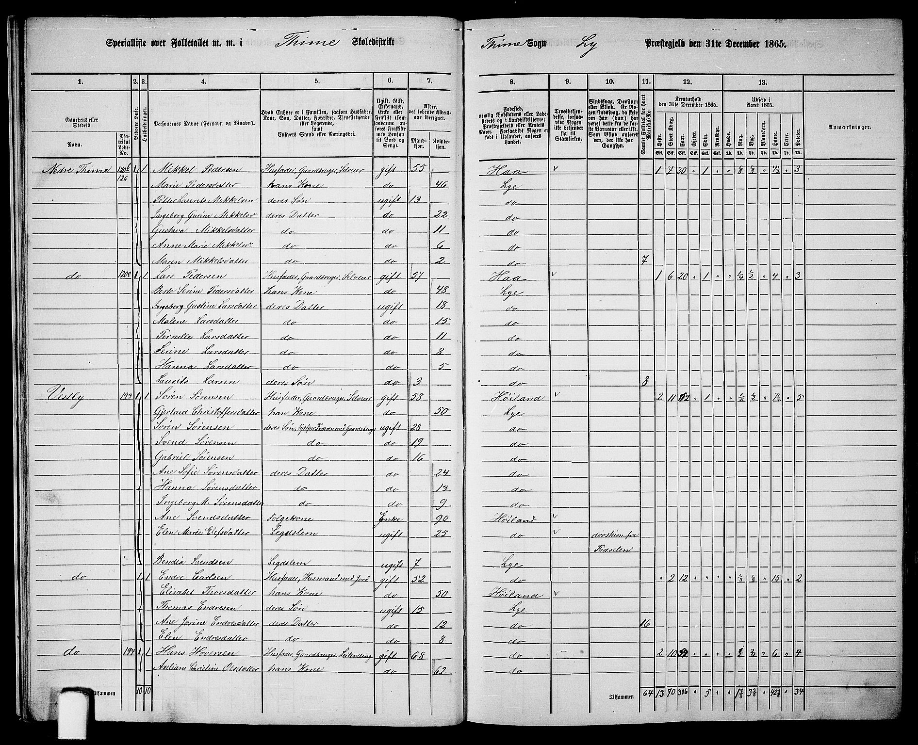 RA, 1865 census for Lye, 1865, p. 16