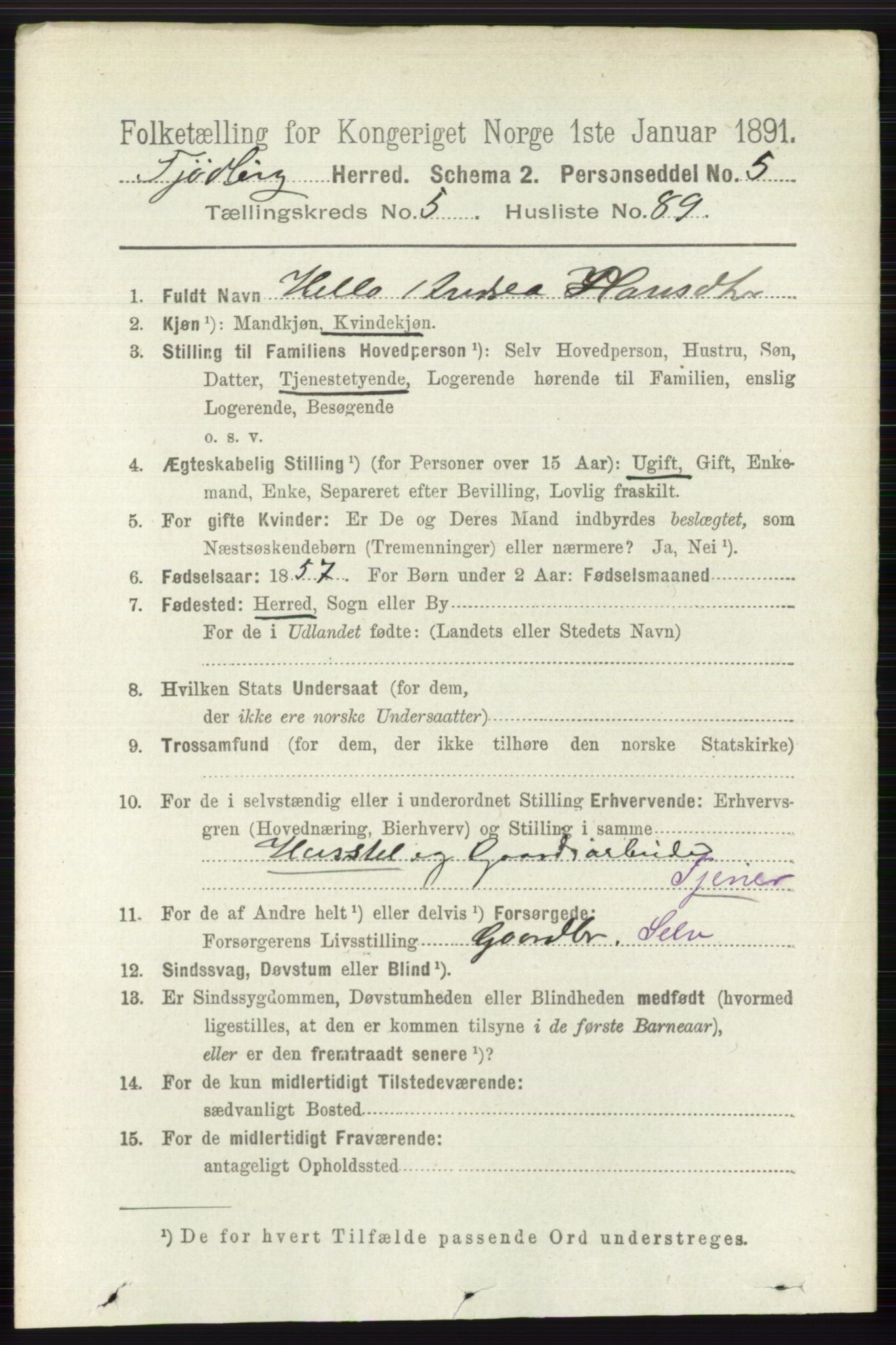 RA, 1891 census for 0725 Tjølling, 1891, p. 2519