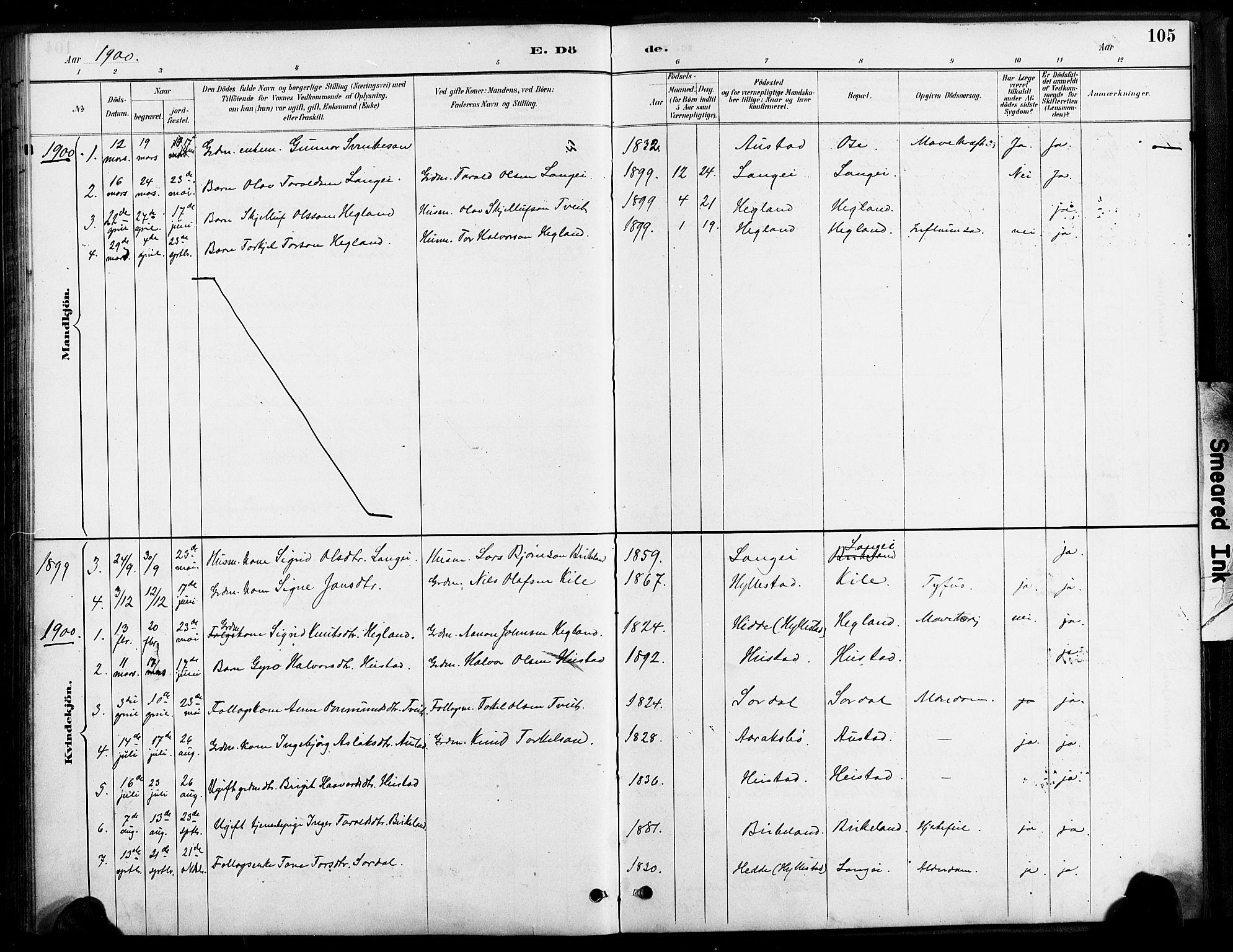 Bygland sokneprestkontor, SAK/1111-0006/F/Fa/Faa/L0001: Parish register (official) no. A 1, 1885-1908, p. 105
