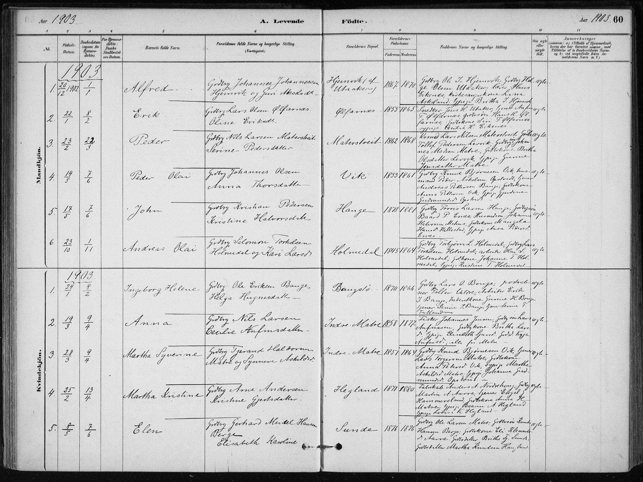 Skånevik sokneprestembete, SAB/A-77801/H/Haa: Parish register (official) no. C  1, 1879-1917, p. 60