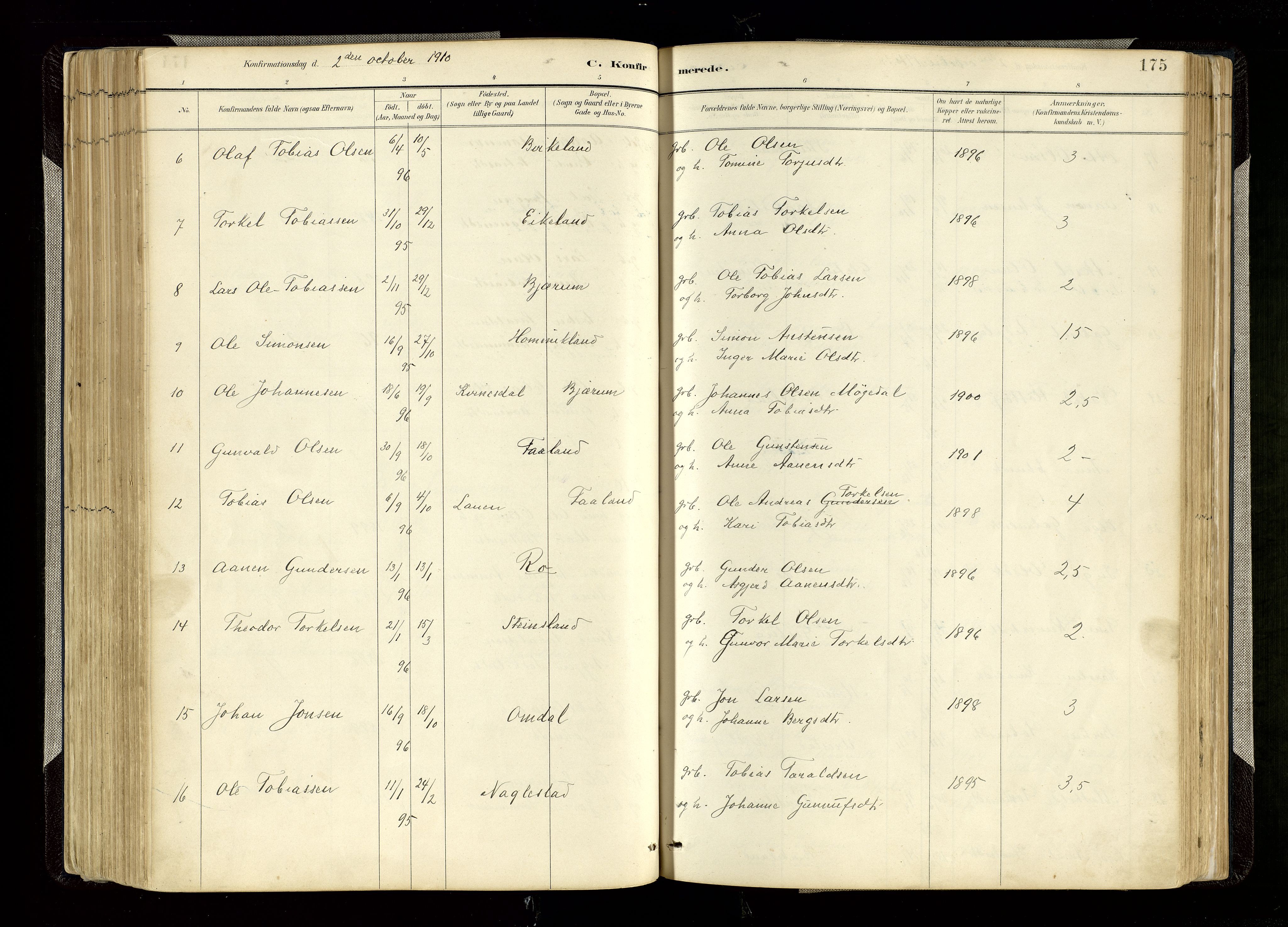 Hægebostad sokneprestkontor, AV/SAK-1111-0024/F/Fa/Faa/L0006: Parish register (official) no. A 6, 1887-1929, p. 175