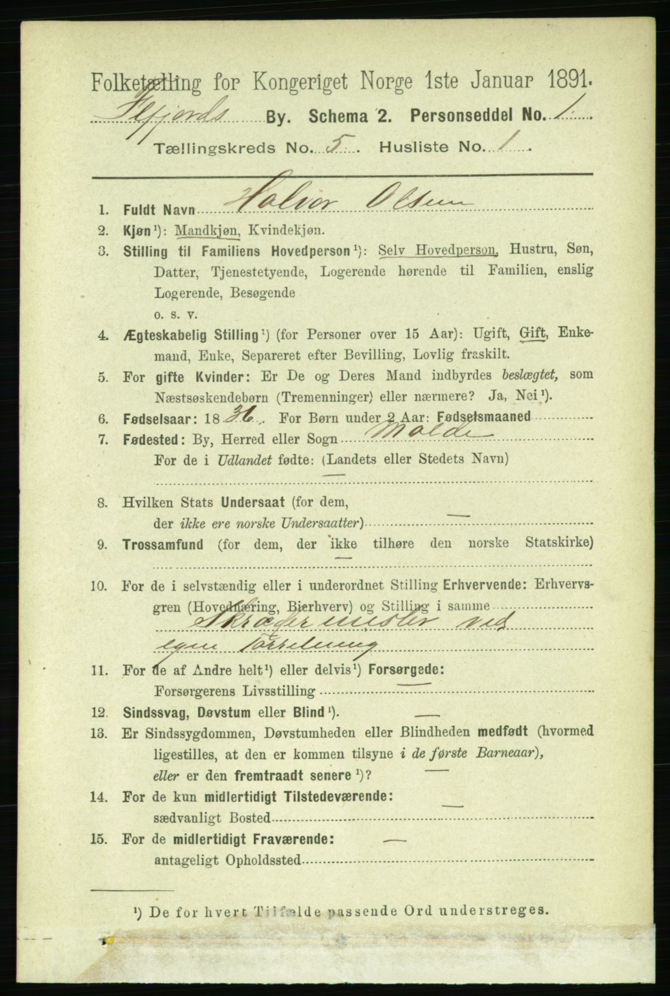 RA, 1891 census for 1004 Flekkefjord, 1891, p. 1125