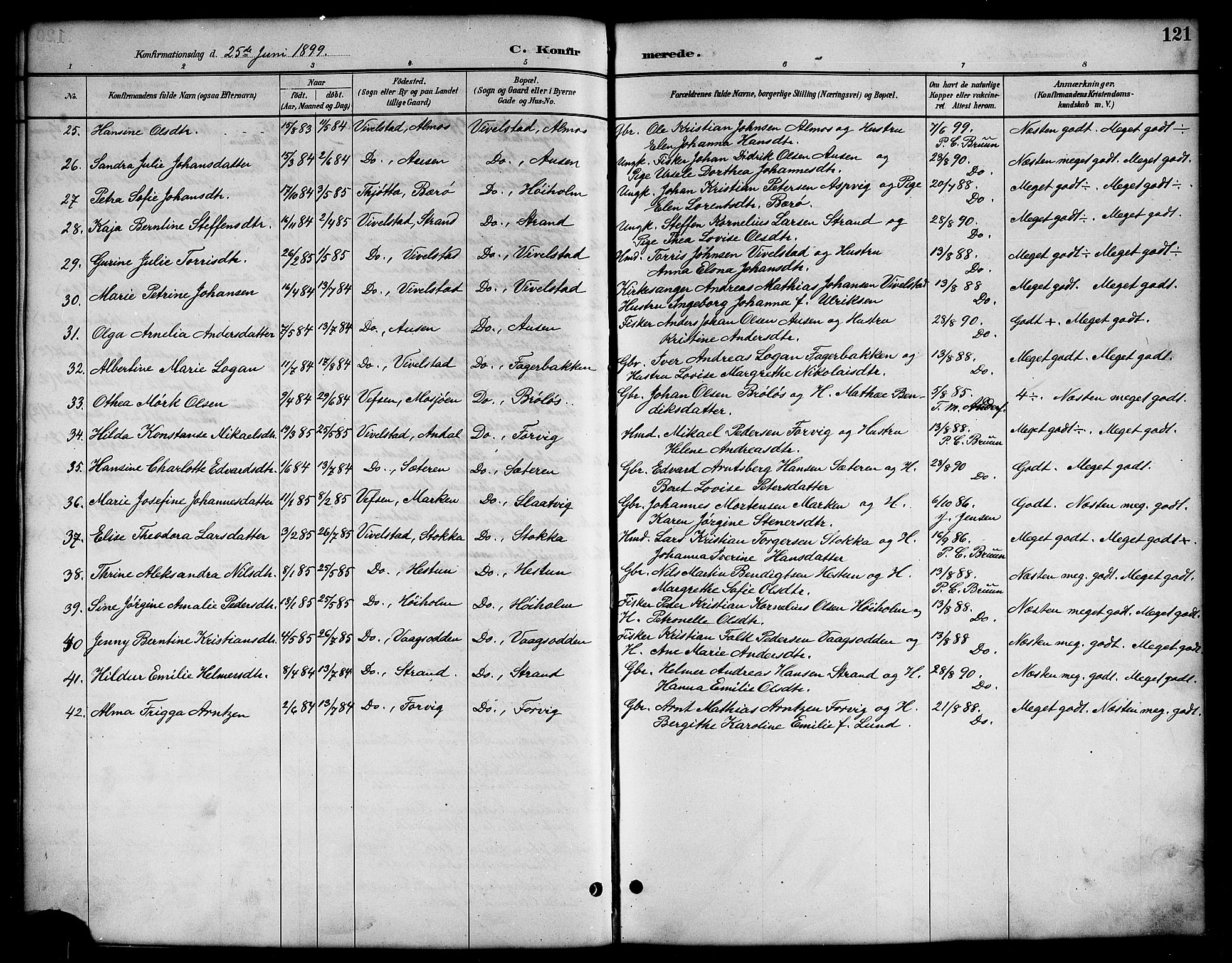 Ministerialprotokoller, klokkerbøker og fødselsregistre - Nordland, AV/SAT-A-1459/819/L0277: Parish register (copy) no. 819C03, 1888-1917, p. 121