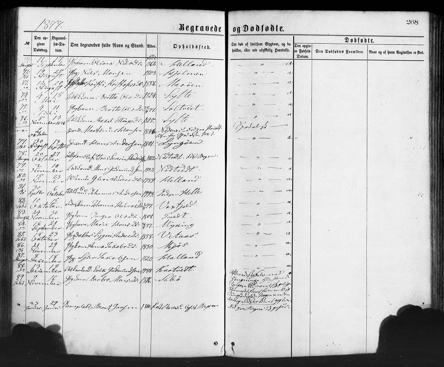 Manger sokneprestembete, SAB/A-76801/H/Haa: Parish register (official) no. A 8, 1871-1880, p. 268