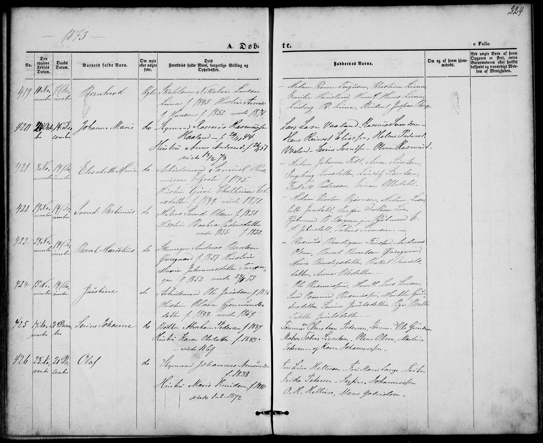 St. Petri sokneprestkontor, AV/SAST-A-101813/001/30/30BA/L0008: Parish register (official) no. A 8, 1868-1876, p. 224