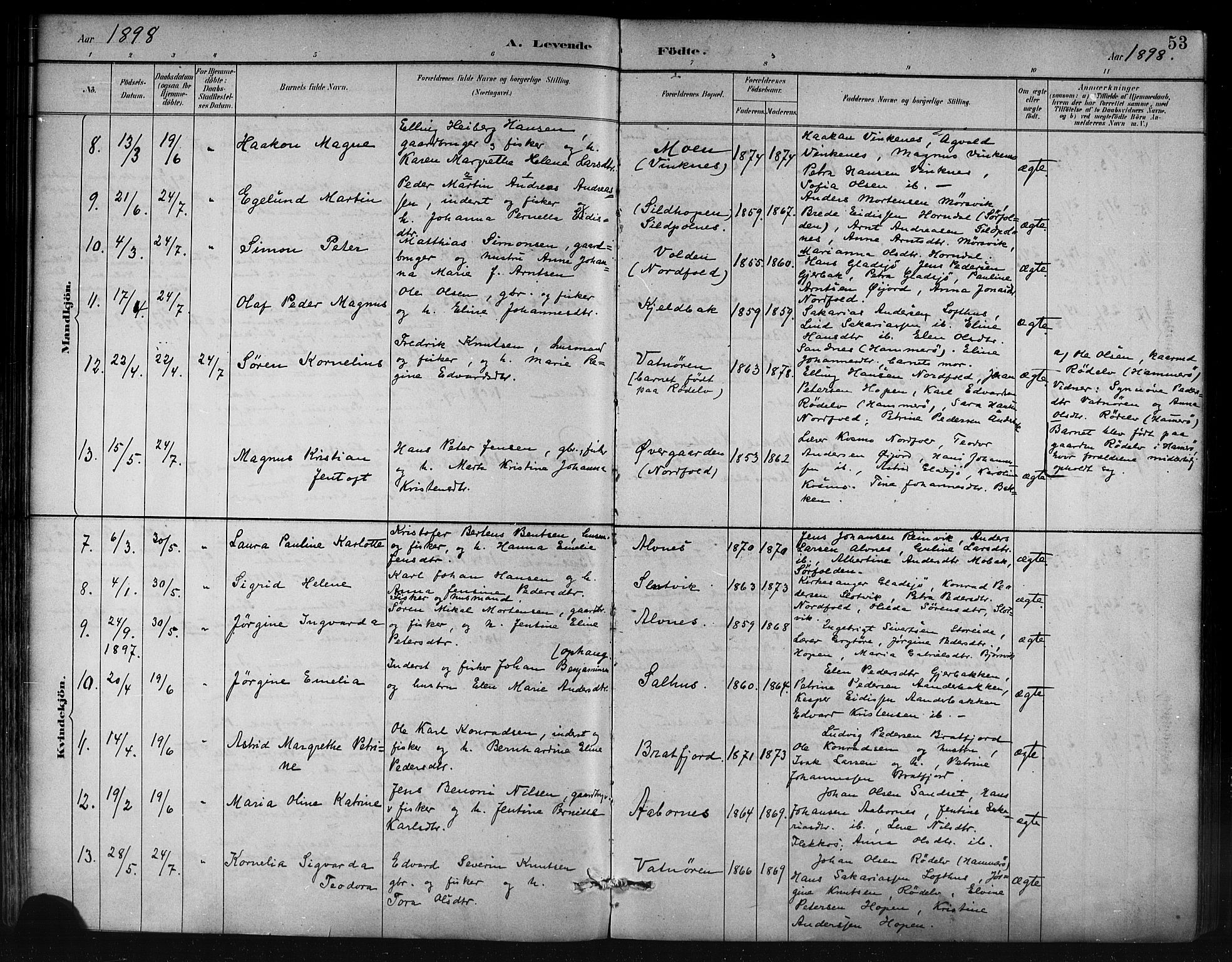 Ministerialprotokoller, klokkerbøker og fødselsregistre - Nordland, AV/SAT-A-1459/858/L0831: Parish register (official) no. 858A01, 1884-1902, p. 53