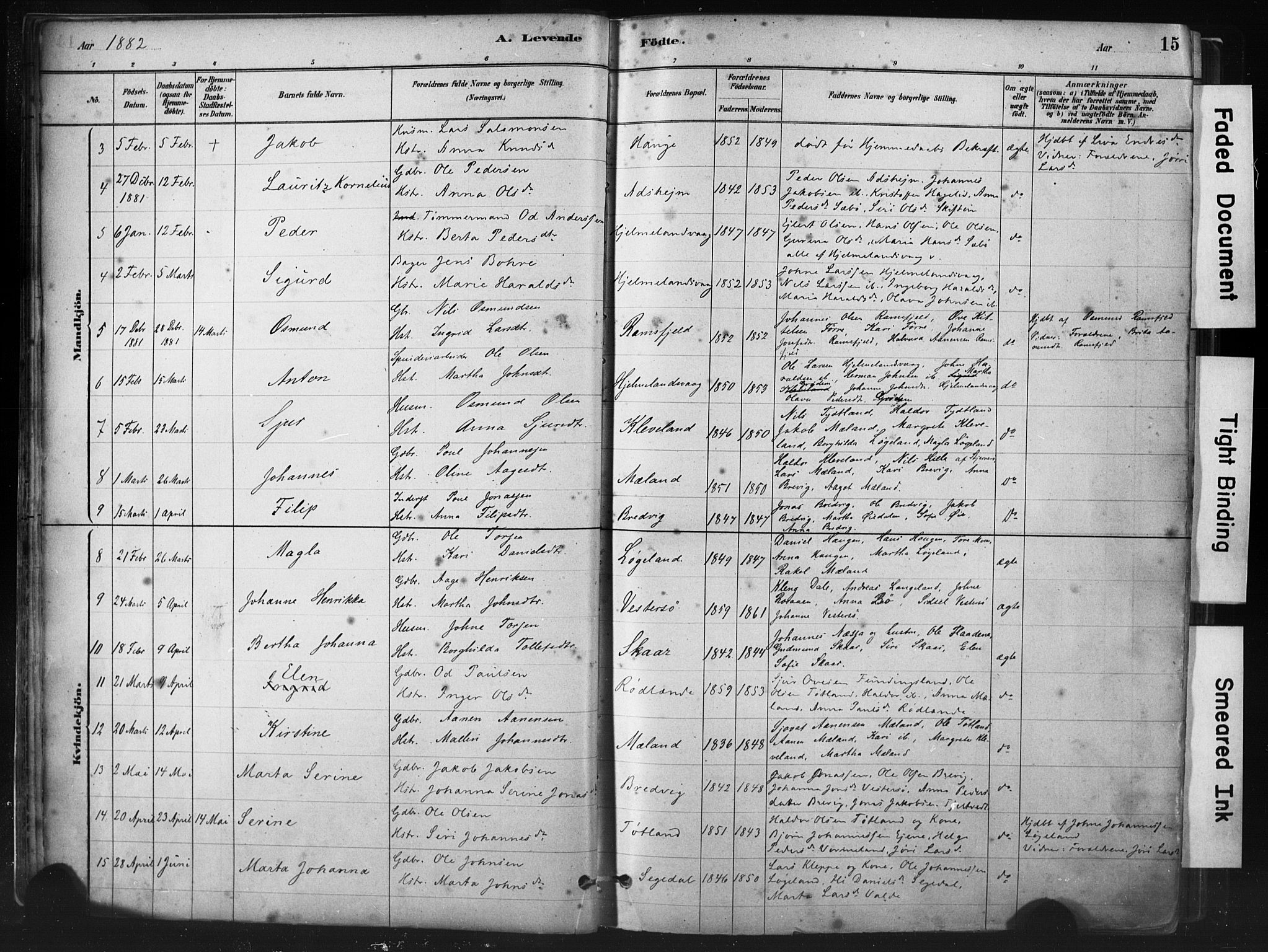 Hjelmeland sokneprestkontor, AV/SAST-A-101843/01/IV/L0014: Parish register (official) no. A 14, 1879-1900, p. 15