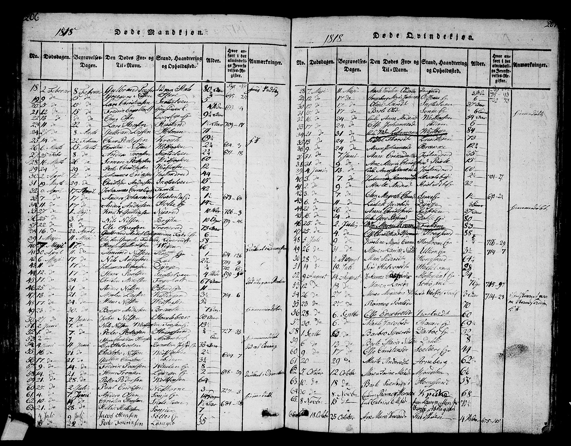 Eiker kirkebøker, AV/SAKO-A-4/G/Ga/L0001: Parish register (copy) no. I 1, 1814-1832, p. 206-207