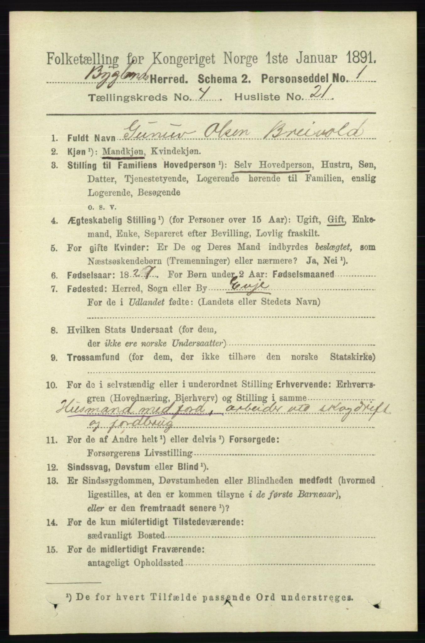 RA, 1891 census for 0938 Bygland, 1891, p. 989