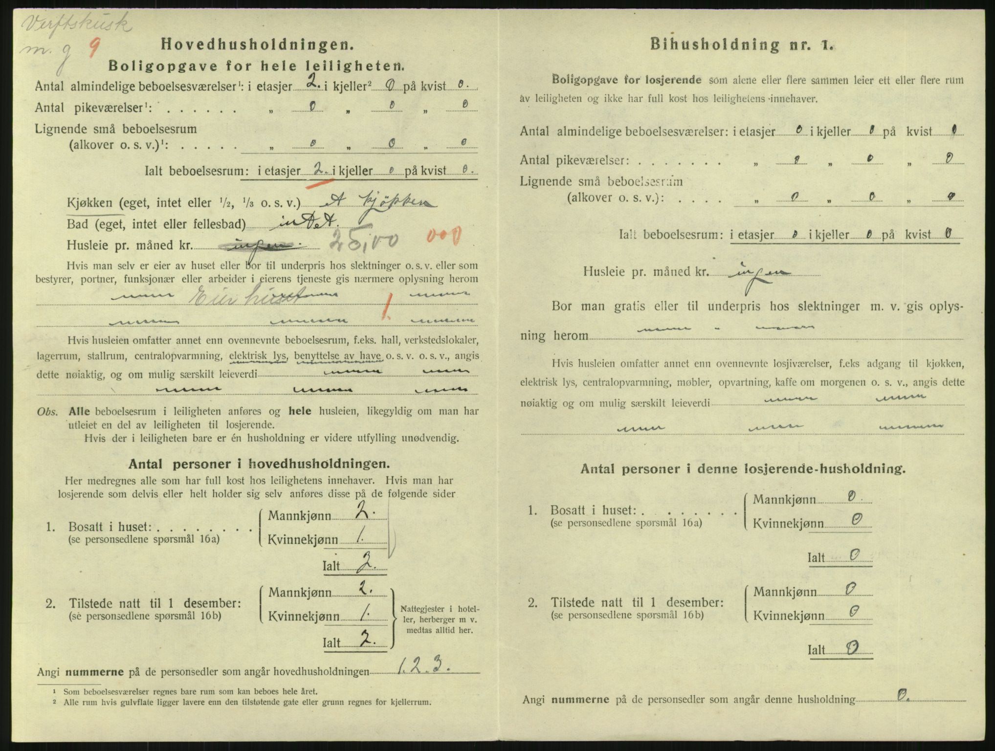 SAKO, 1920 census for Horten, 1920, p. 3872