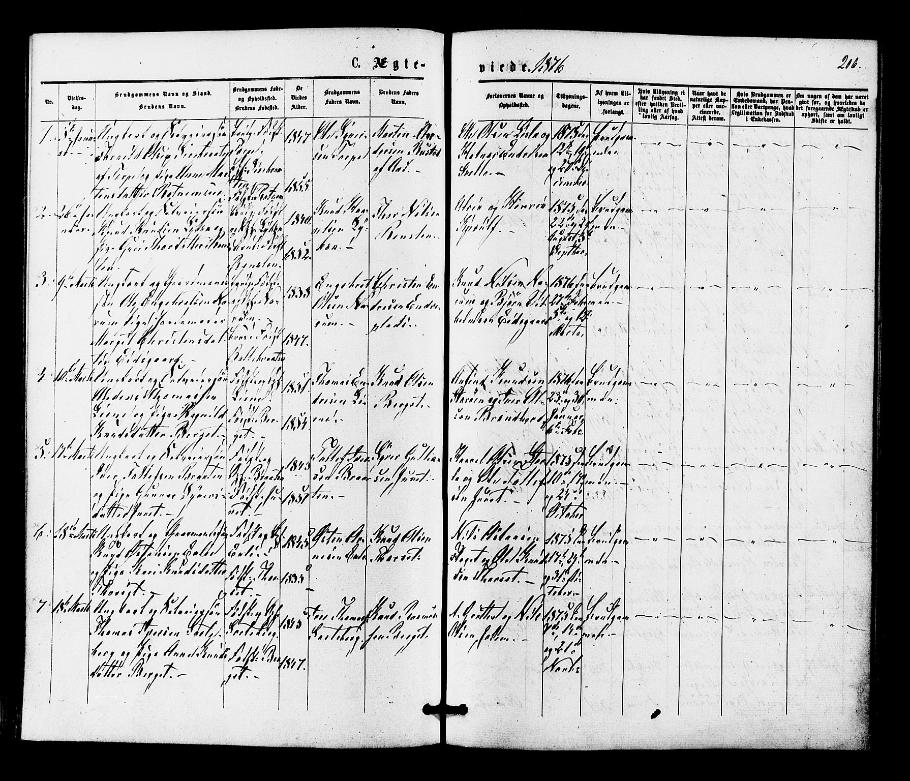 Gol kirkebøker, SAKO/A-226/F/Fa/L0004: Parish register (official) no. I 4, 1876-1886, p. 206