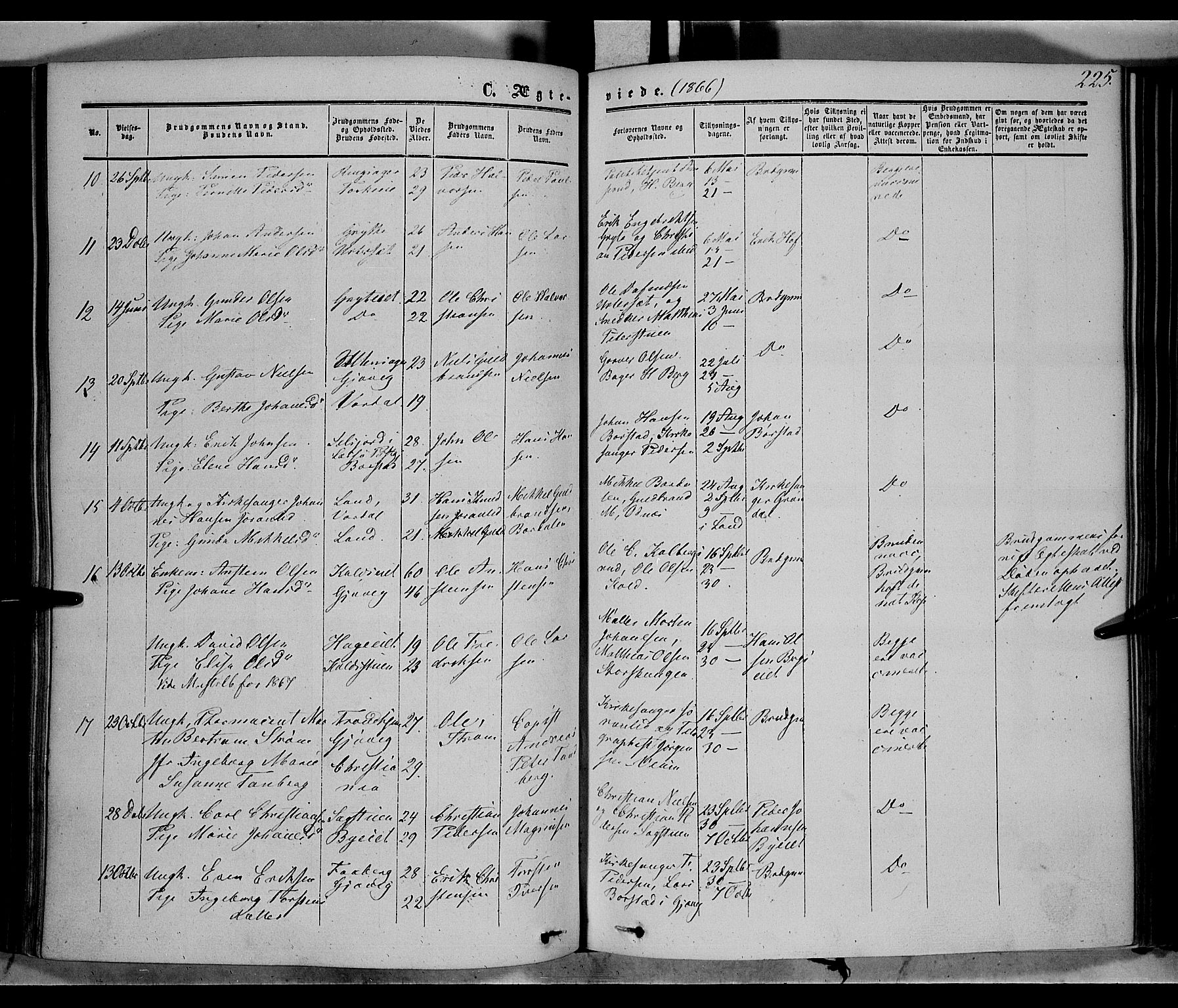Vardal prestekontor, SAH/PREST-100/H/Ha/Haa/L0006: Parish register (official) no. 6, 1854-1866, p. 225