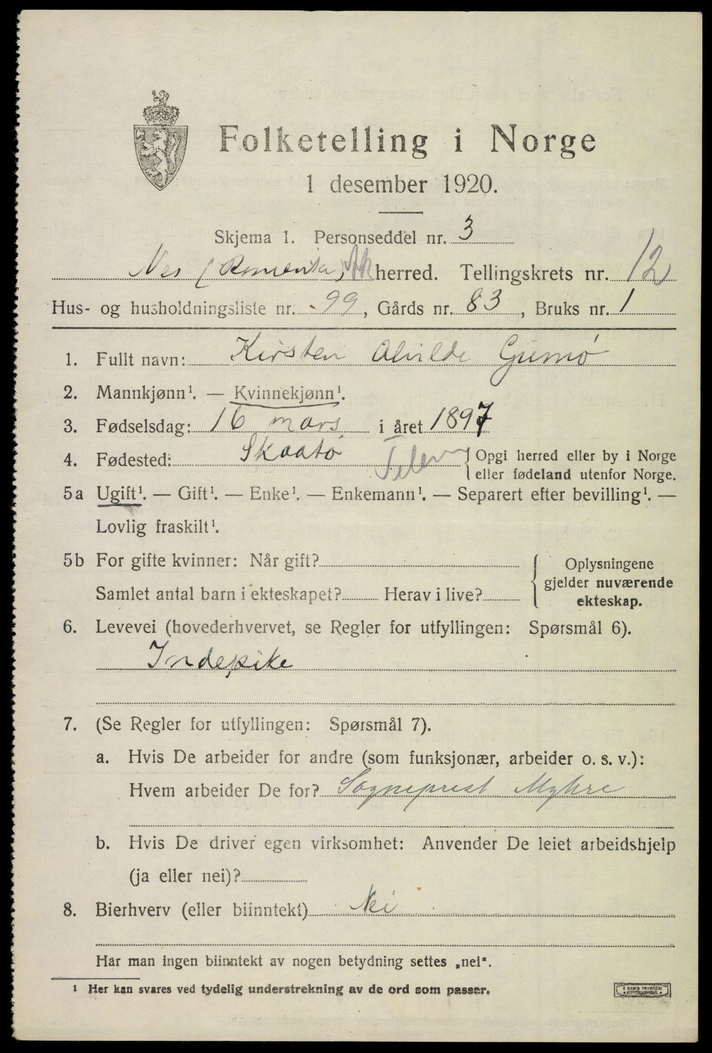 SAO, 1920 census for Nes, 1920, p. 13410