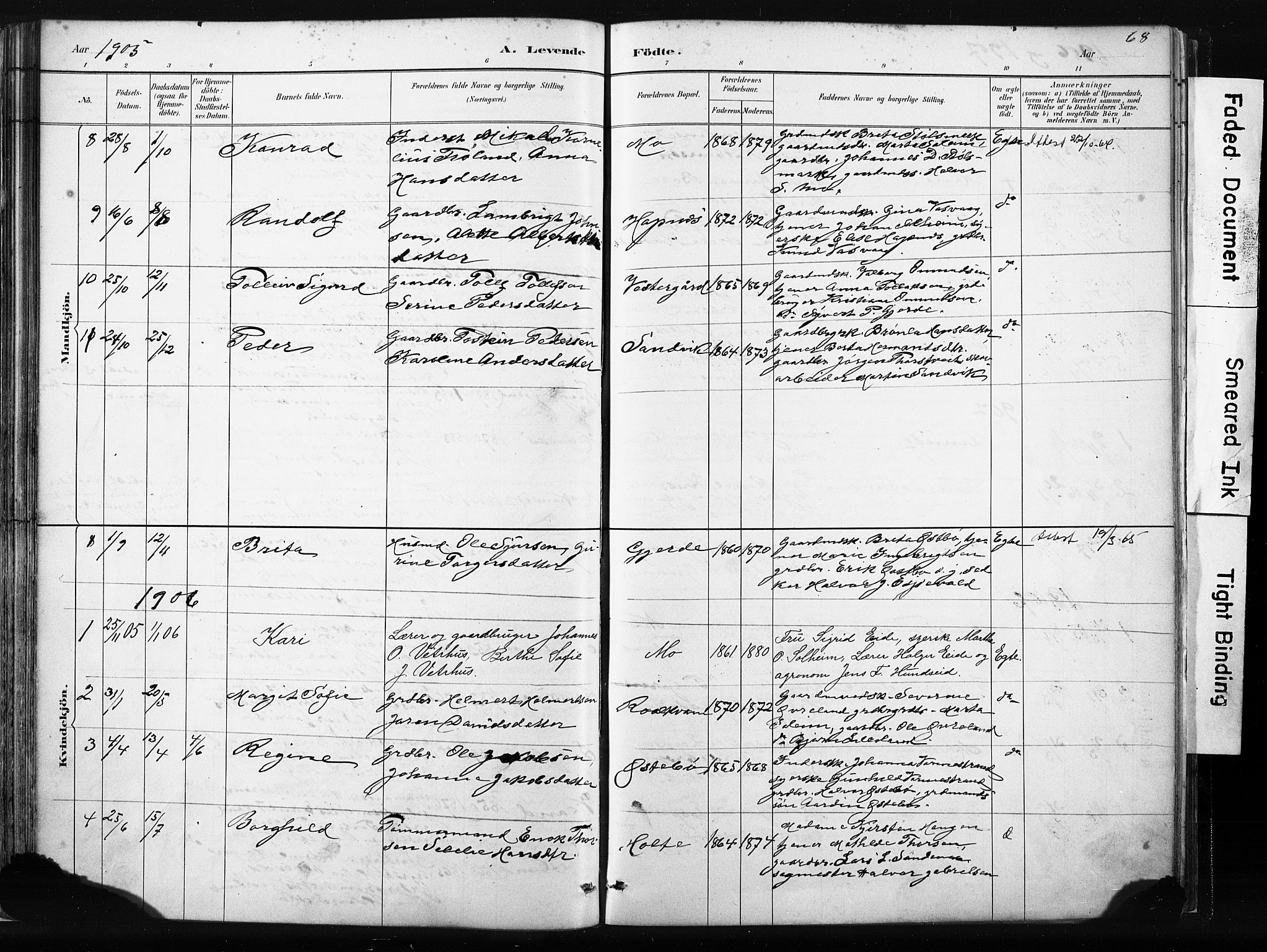 Vikedal sokneprestkontor, AV/SAST-A-101840/01/IV: Parish register (official) no. A 10, 1884-1907, p. 68