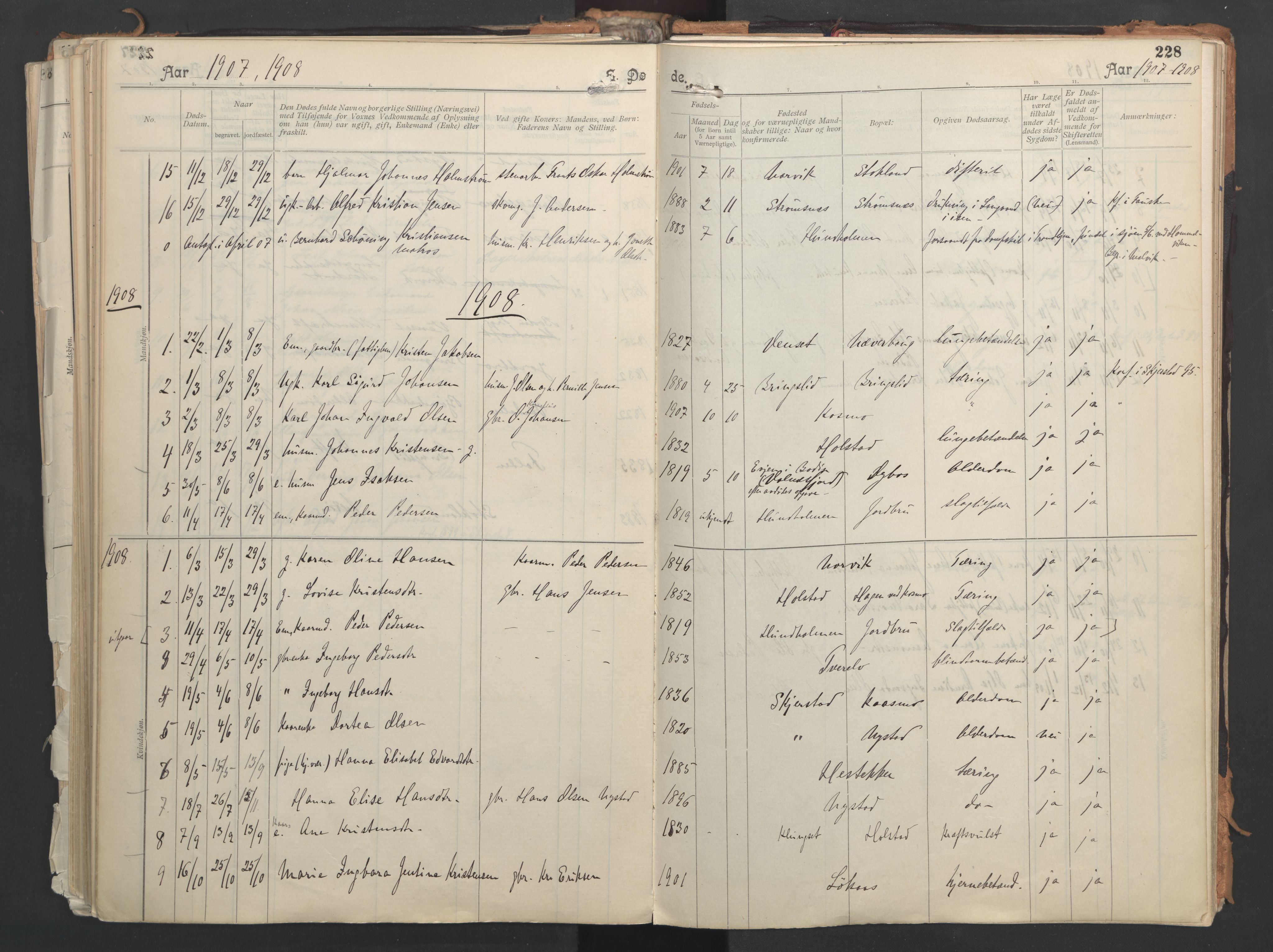 Ministerialprotokoller, klokkerbøker og fødselsregistre - Nordland, AV/SAT-A-1459/851/L0724: Parish register (official) no. 851A01, 1901-1922, p. 228