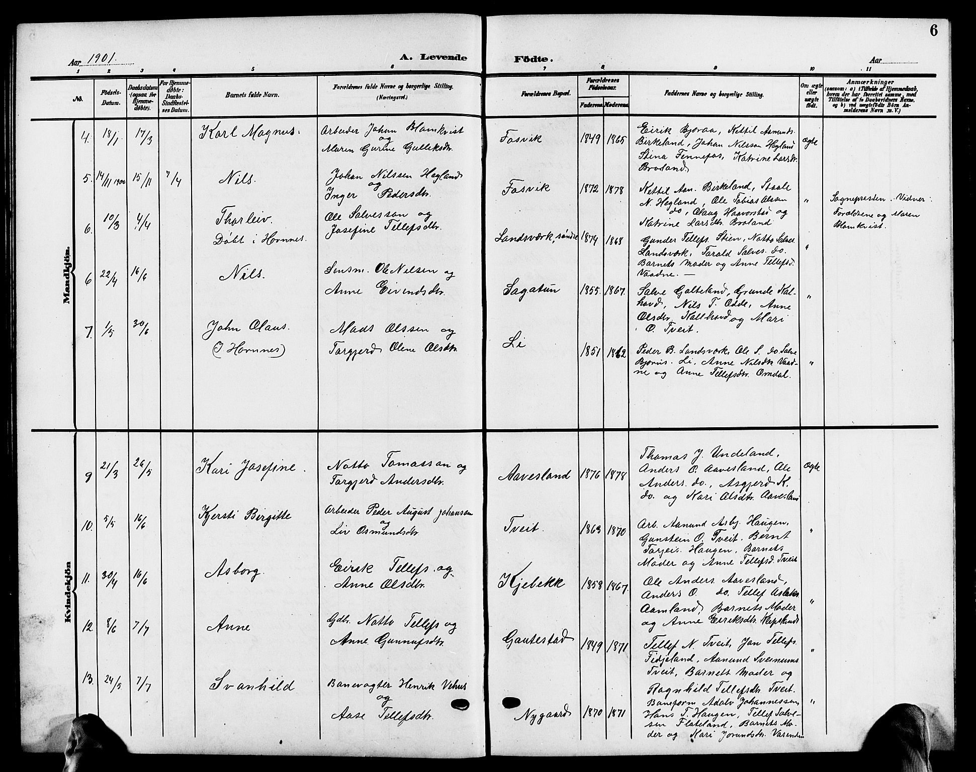 Evje sokneprestkontor, AV/SAK-1111-0008/F/Fb/Fba/L0004: Parish register (copy) no. B 4, 1899-1914, p. 6