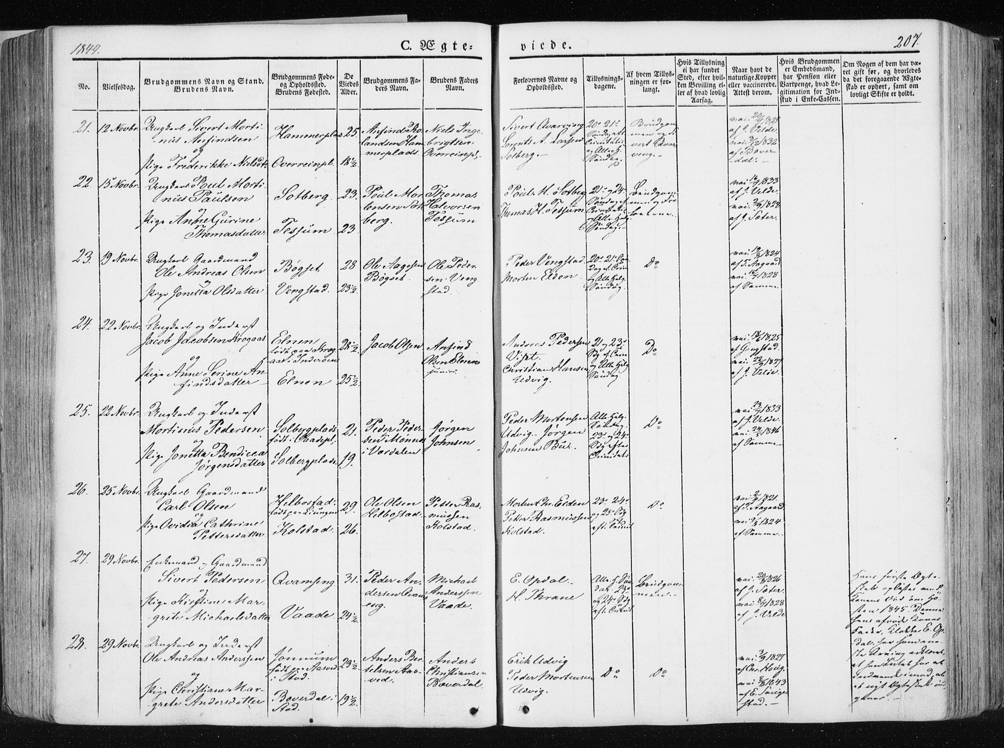 Ministerialprotokoller, klokkerbøker og fødselsregistre - Nord-Trøndelag, AV/SAT-A-1458/741/L0393: Parish register (official) no. 741A07, 1849-1863, p. 207
