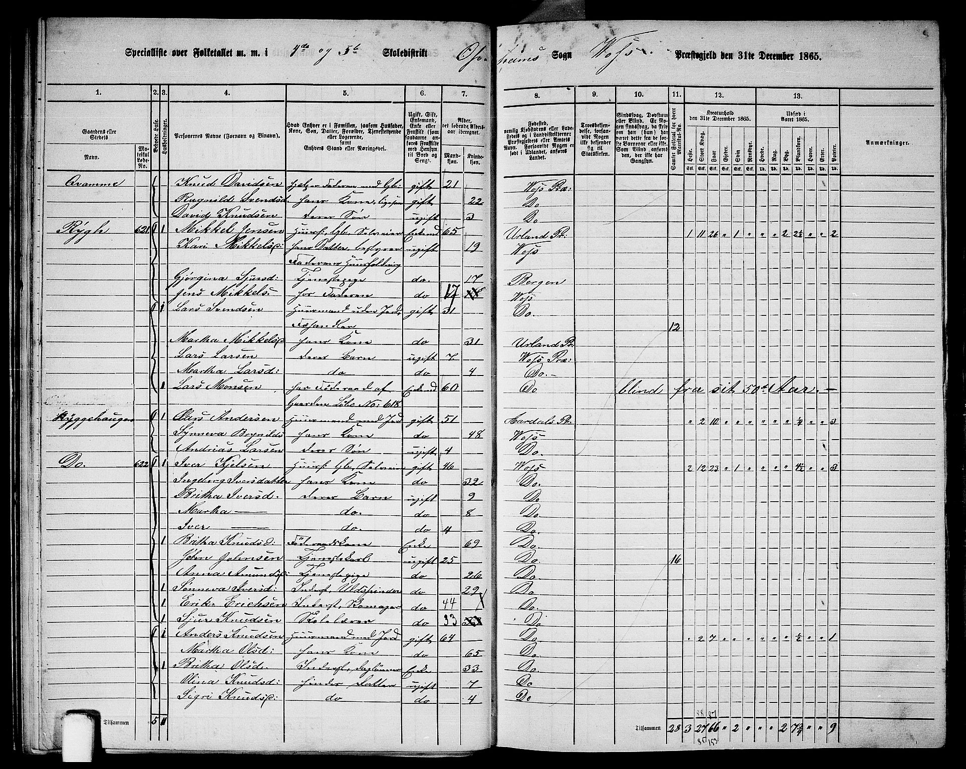 RA, 1865 census for Voss, 1865, p. 252