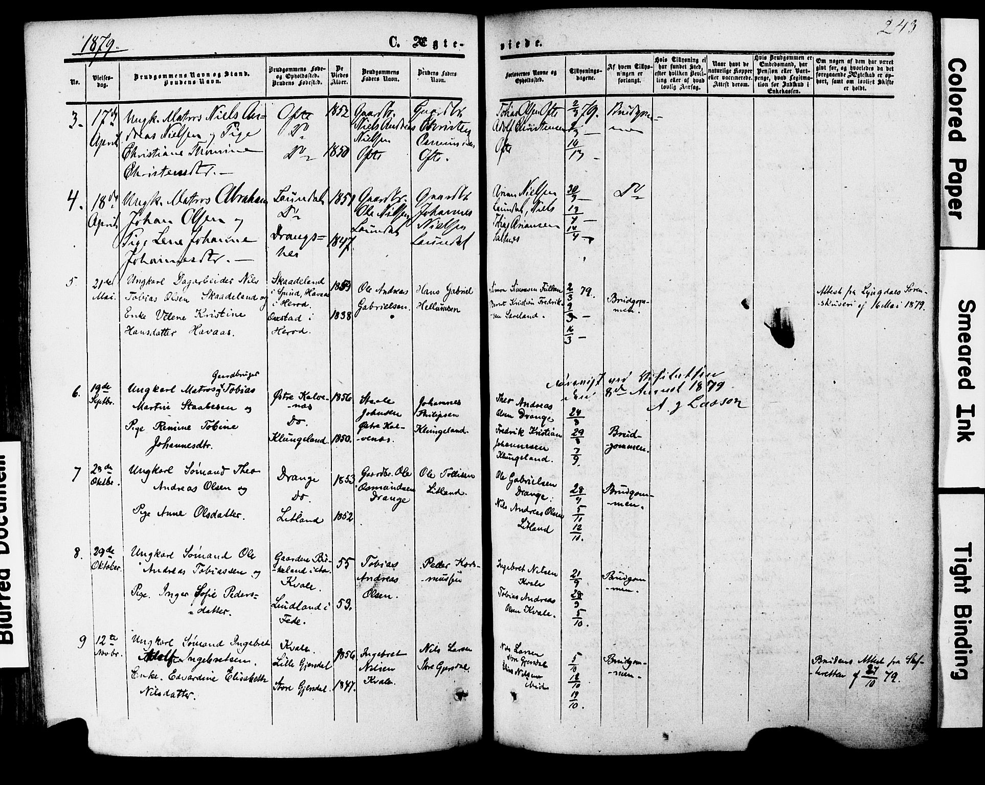 Herad sokneprestkontor, AV/SAK-1111-0018/F/Fa/Faa/L0005: Parish register (official) no. A 5, 1853-1886, p. 243