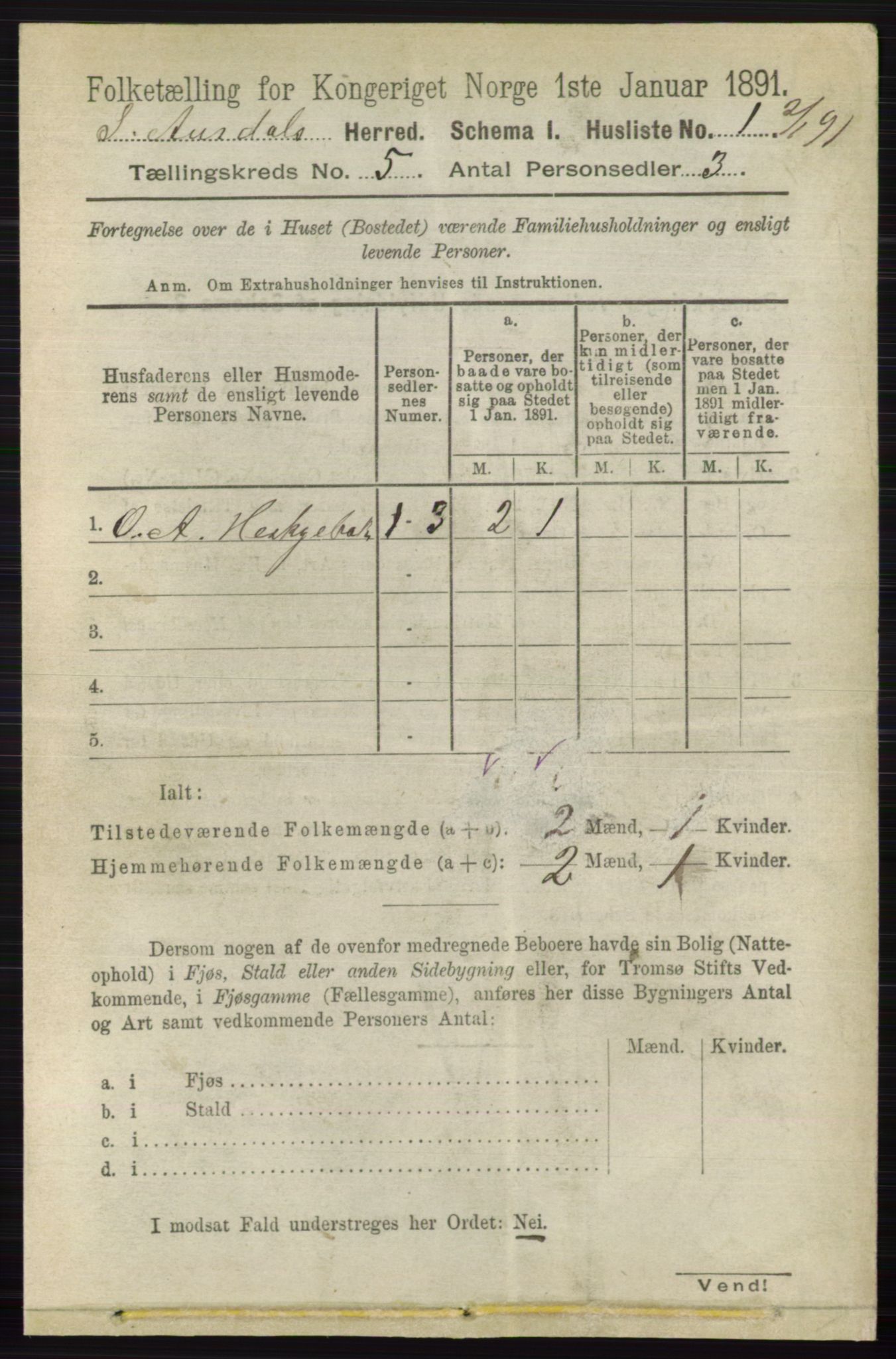 RA, 1891 census for 0540 Sør-Aurdal, 1891, p. 3074