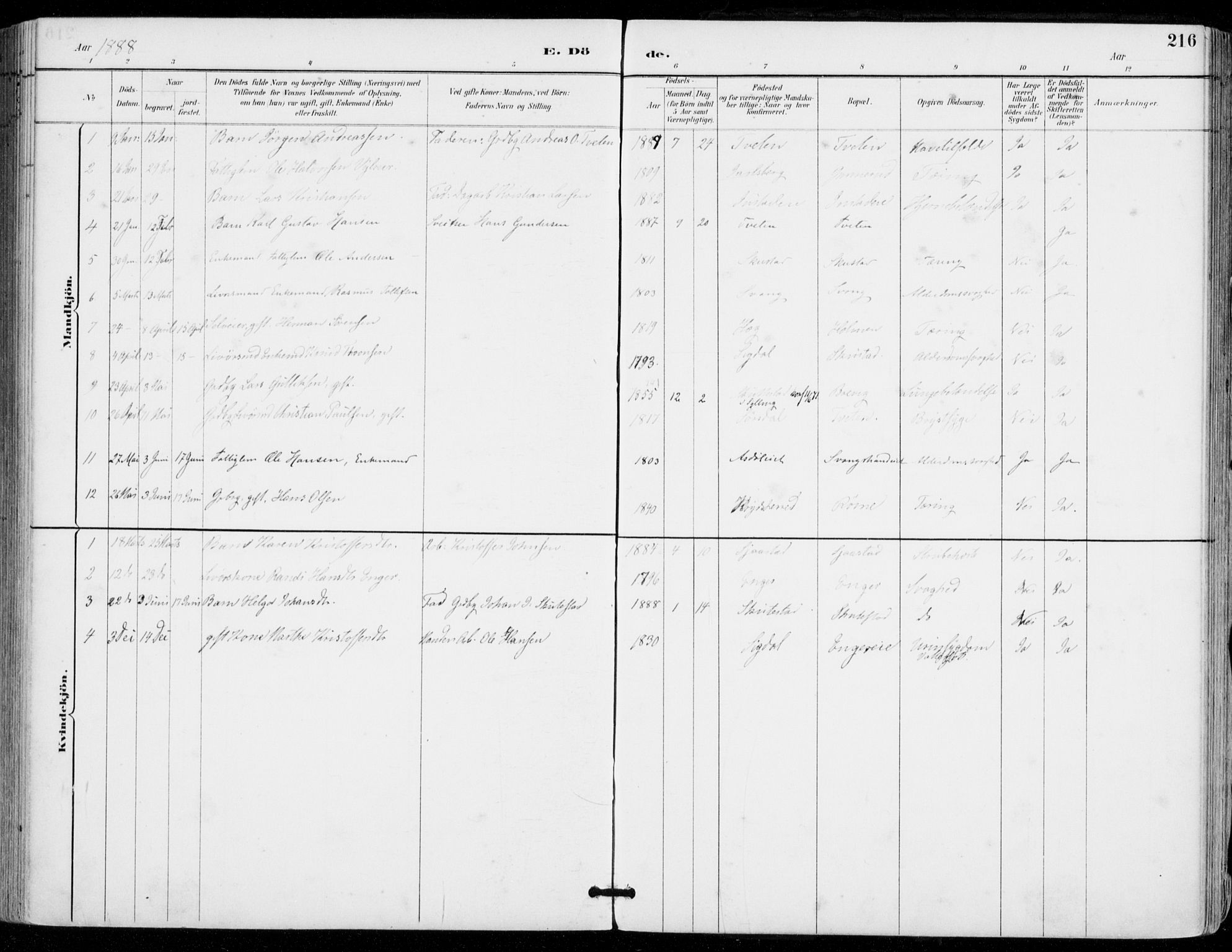 Sylling kirkebøker, AV/SAKO-A-247/F/Fa/L0001: Parish register (official) no. 1, 1883-1910, p. 216