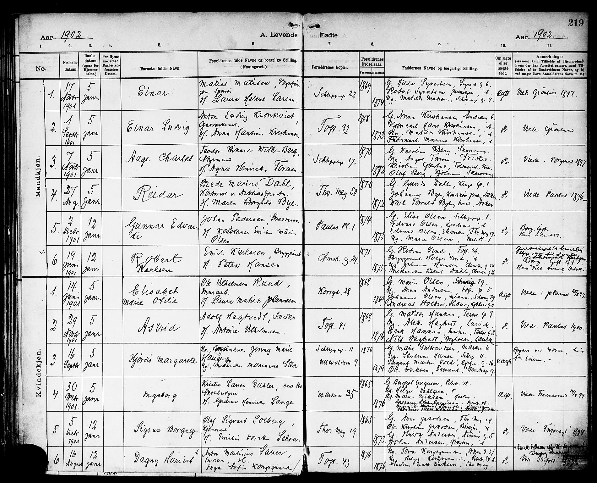 Paulus prestekontor Kirkebøker, AV/SAO-A-10871/F/Fa/L0015: Parish register (official) no. 15, 1899-1902, p. 219