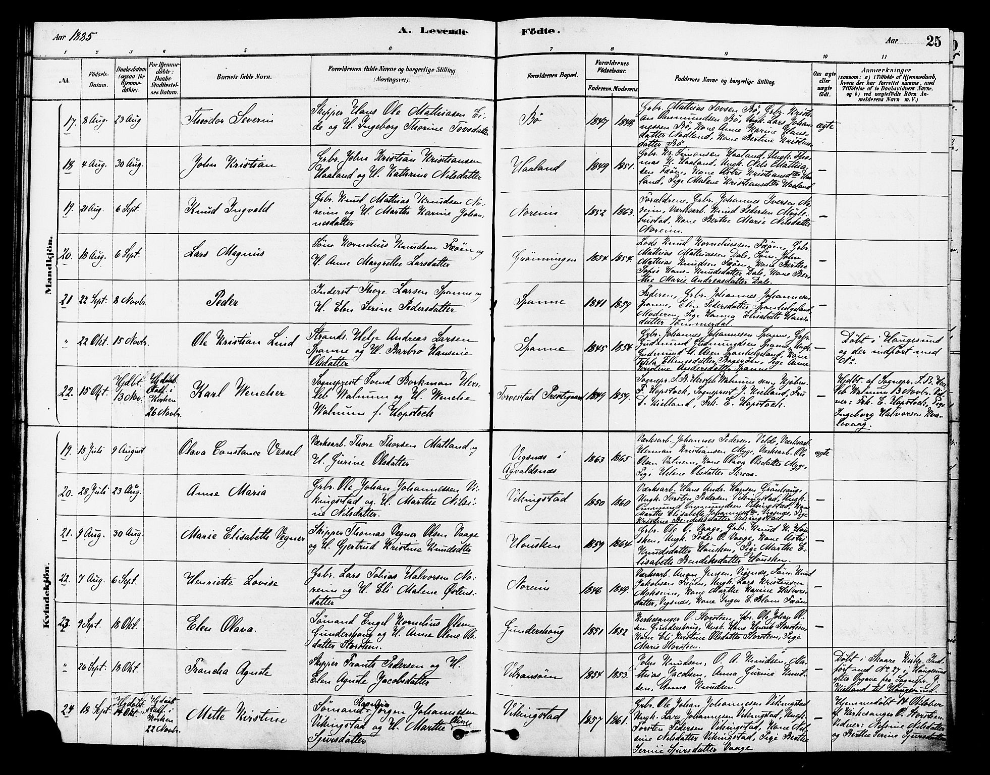 Torvastad sokneprestkontor, AV/SAST-A -101857/H/Ha/Haa/L0014: Parish register (official) no. A 13, 1879-1888, p. 25