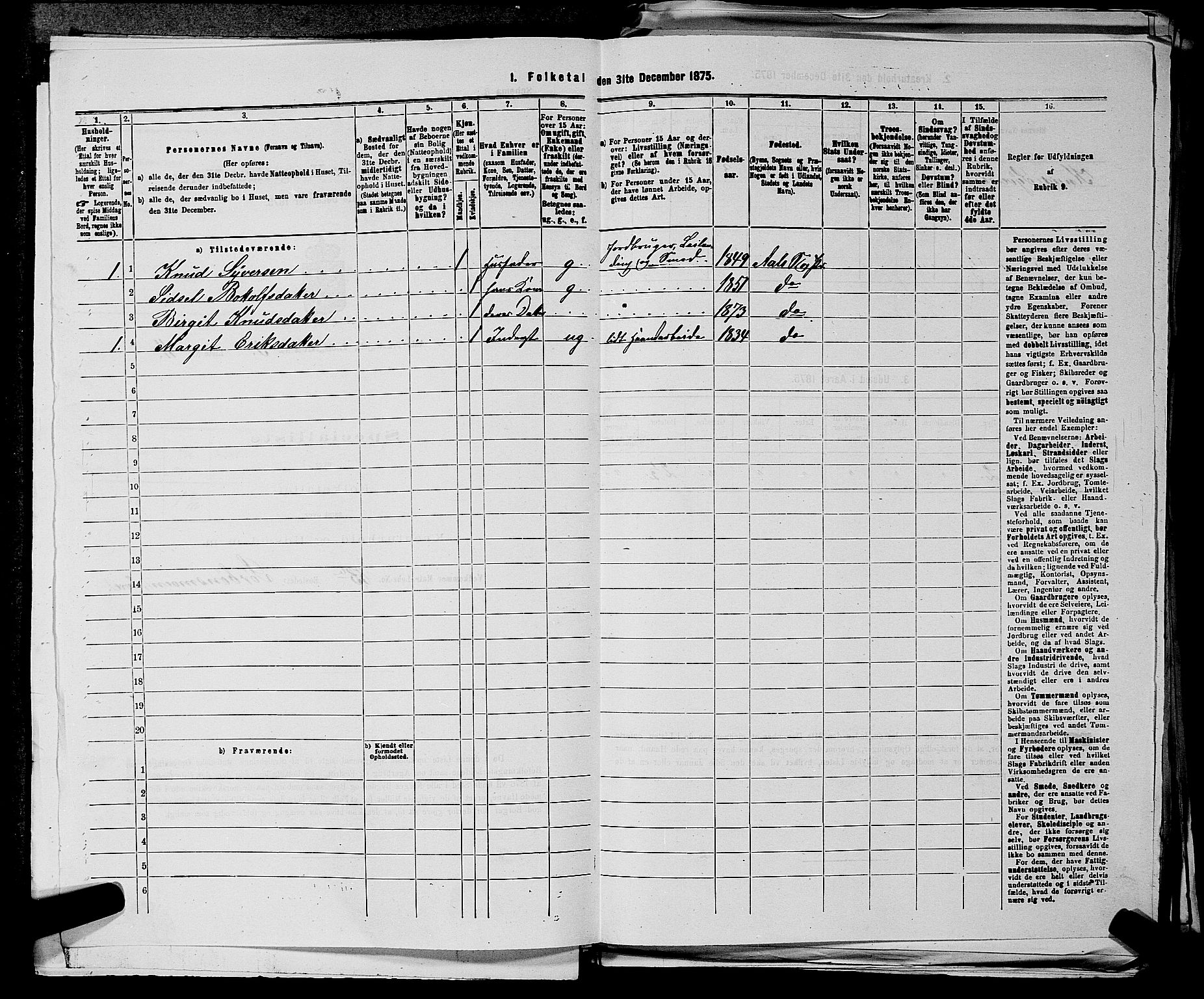 SAKO, 1875 census for 0619P Ål, 1875, p. 338