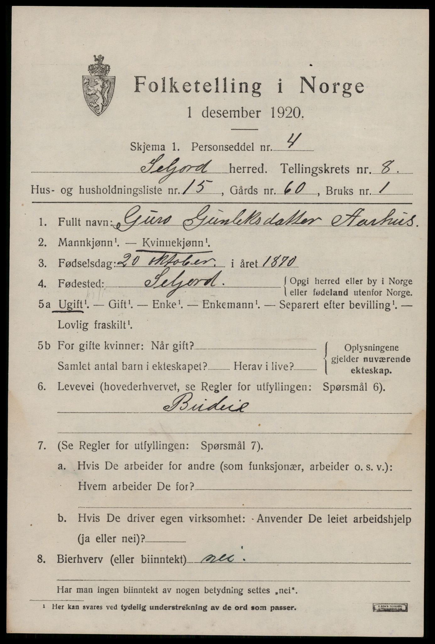 SAKO, 1920 census for Seljord, 1920, p. 4046