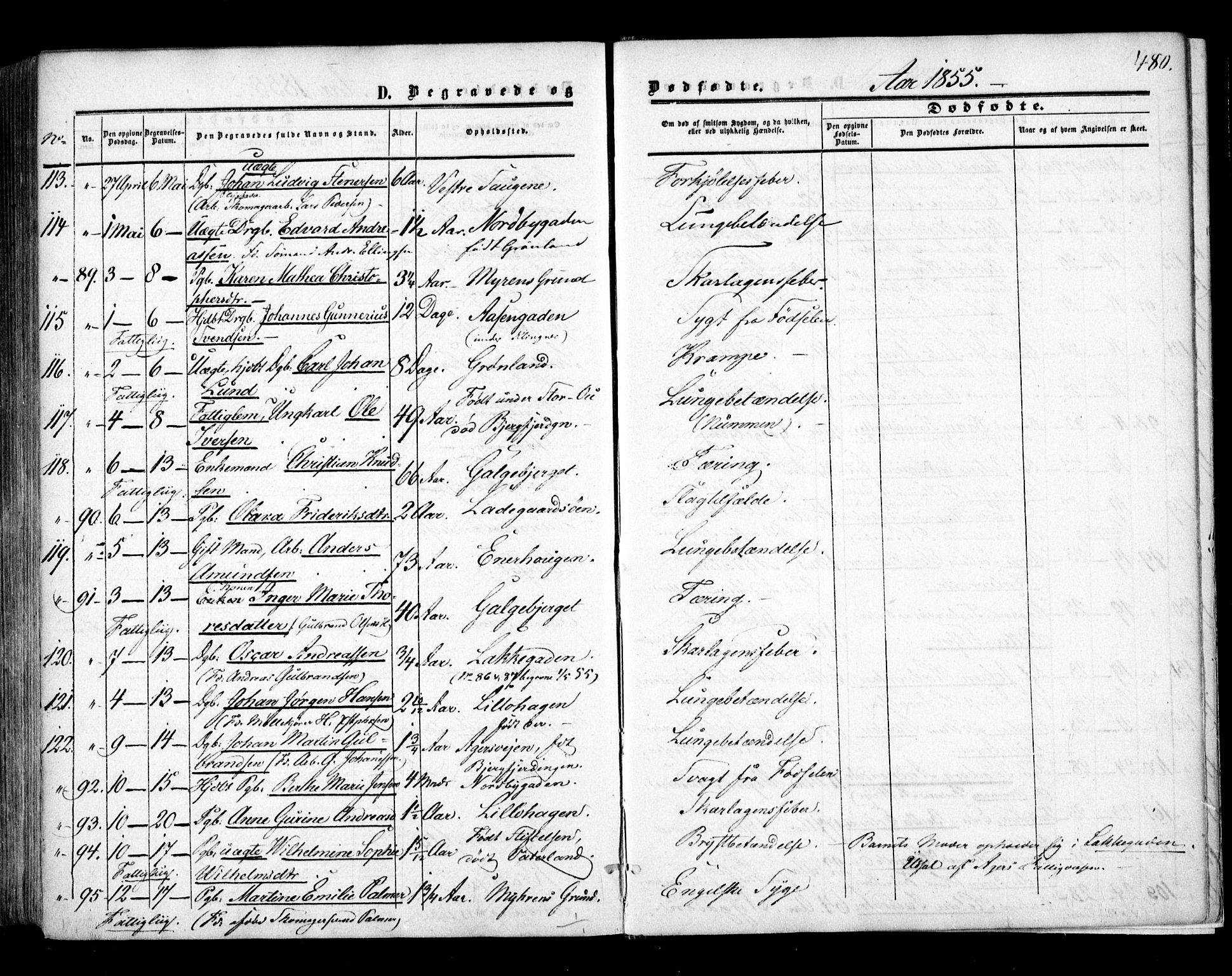 Aker prestekontor kirkebøker, SAO/A-10861/F/L0020: Parish register (official) no. 20, 1853-1857, p. 480
